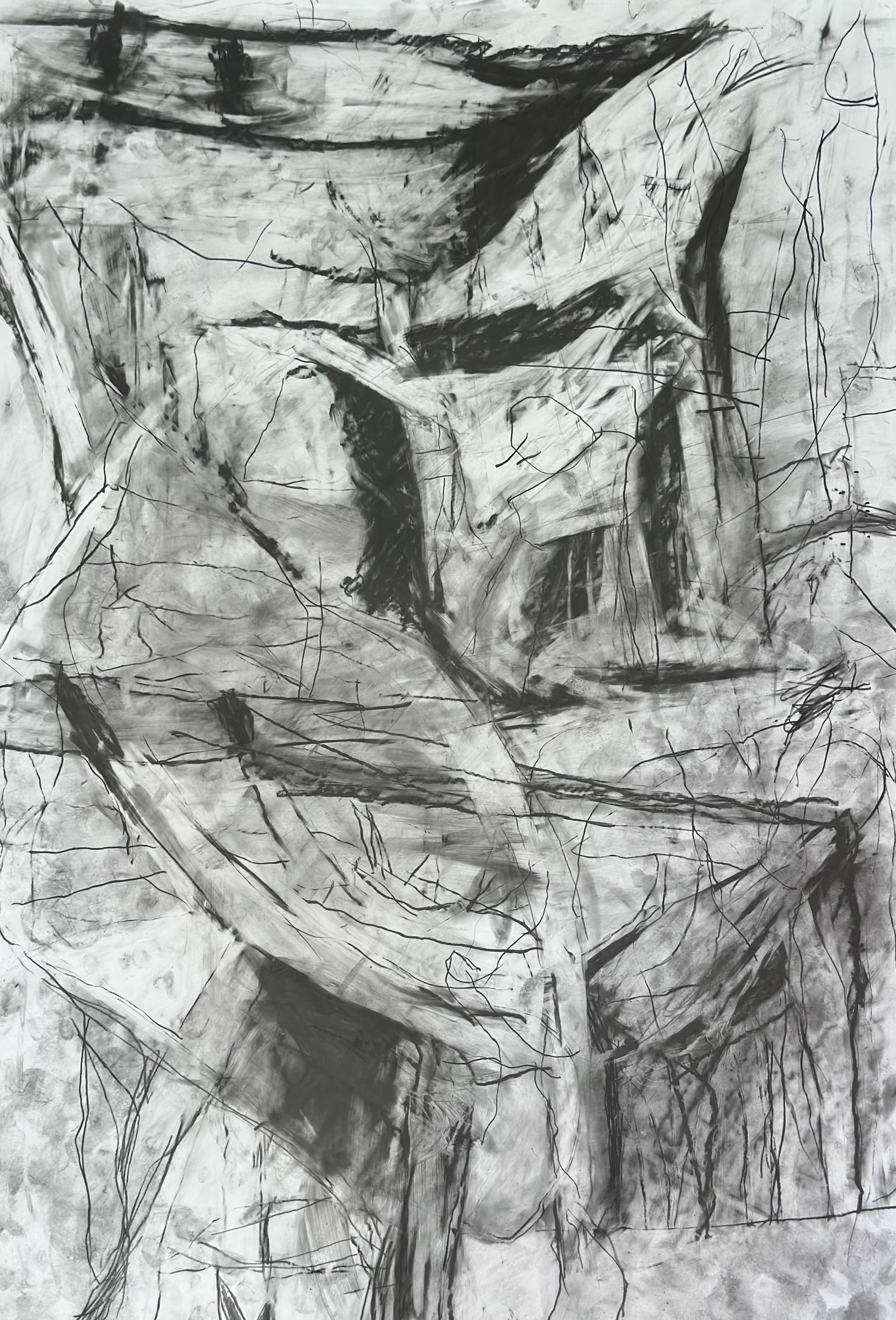 Tender, 2026. Graphite and water soluble graphite on yupo paper, 93 x 63cm