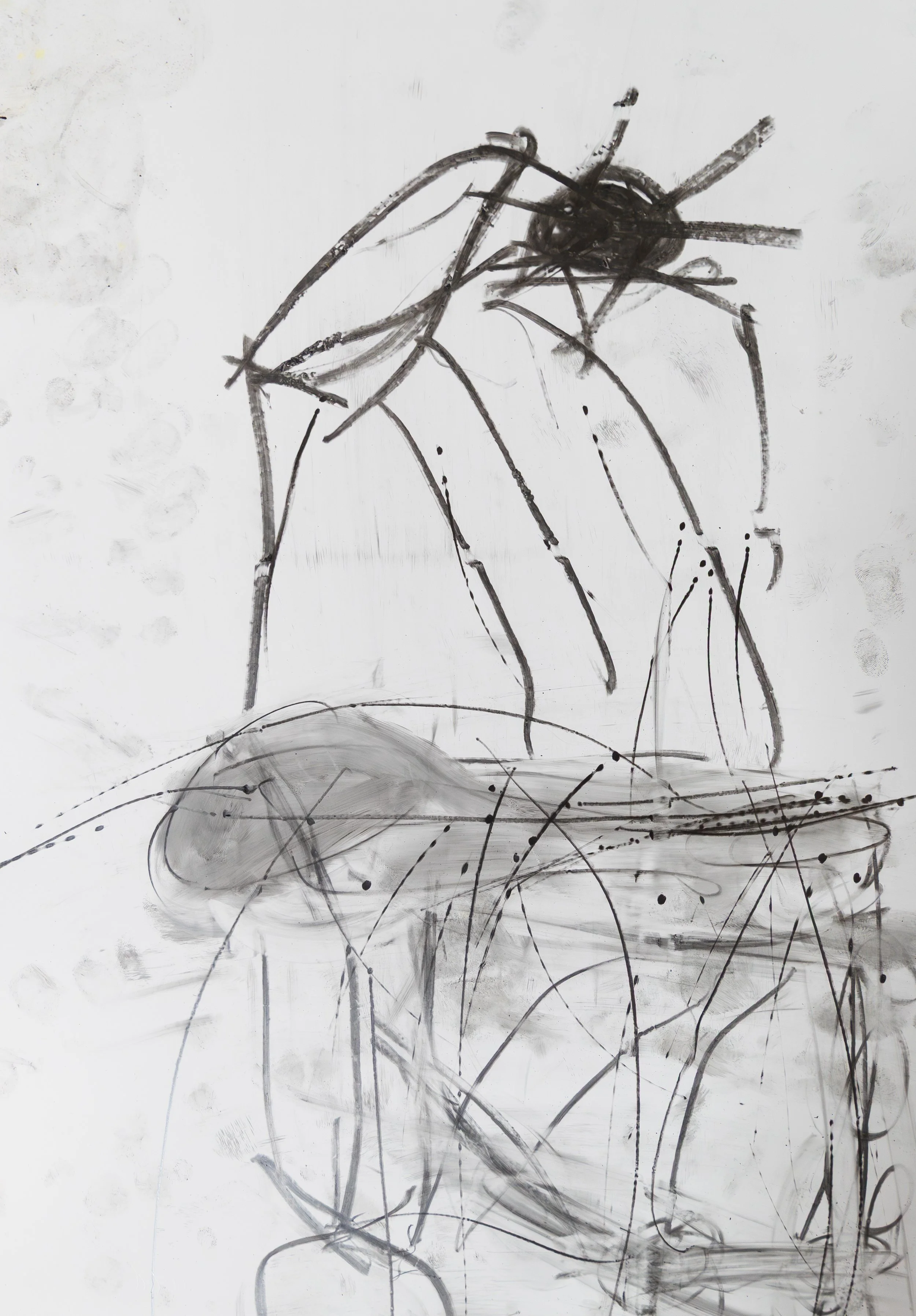 Bug III, 2026. Graphite on yupo paper, A3 (Kedumba Drawing Award - finalist)