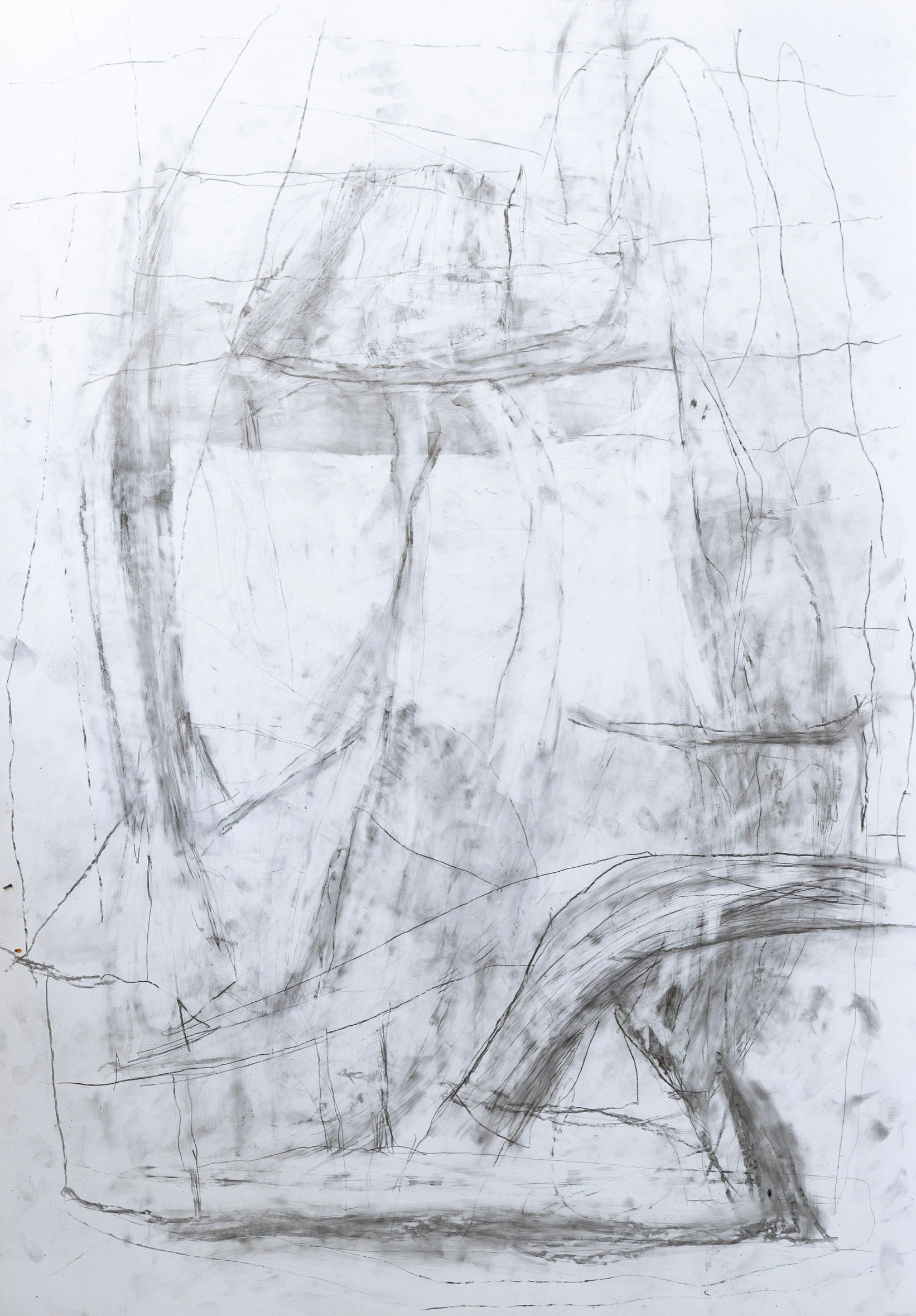 The Aphids, 2026. Graphite and water soluble graphite on yupo paper, 93 x 63cm
