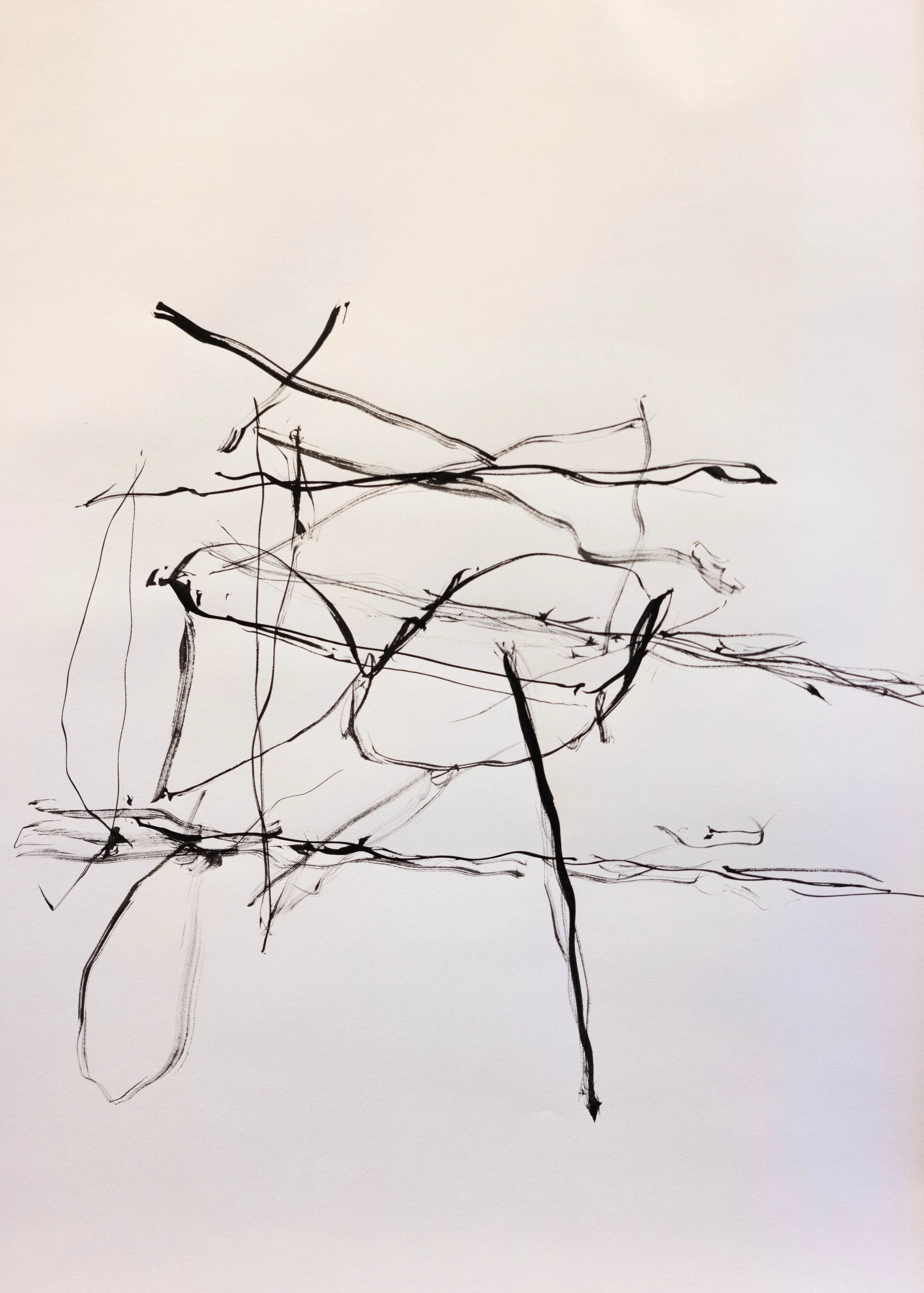 Untitled, 2023. Ink on paper, A3 (destroyed)