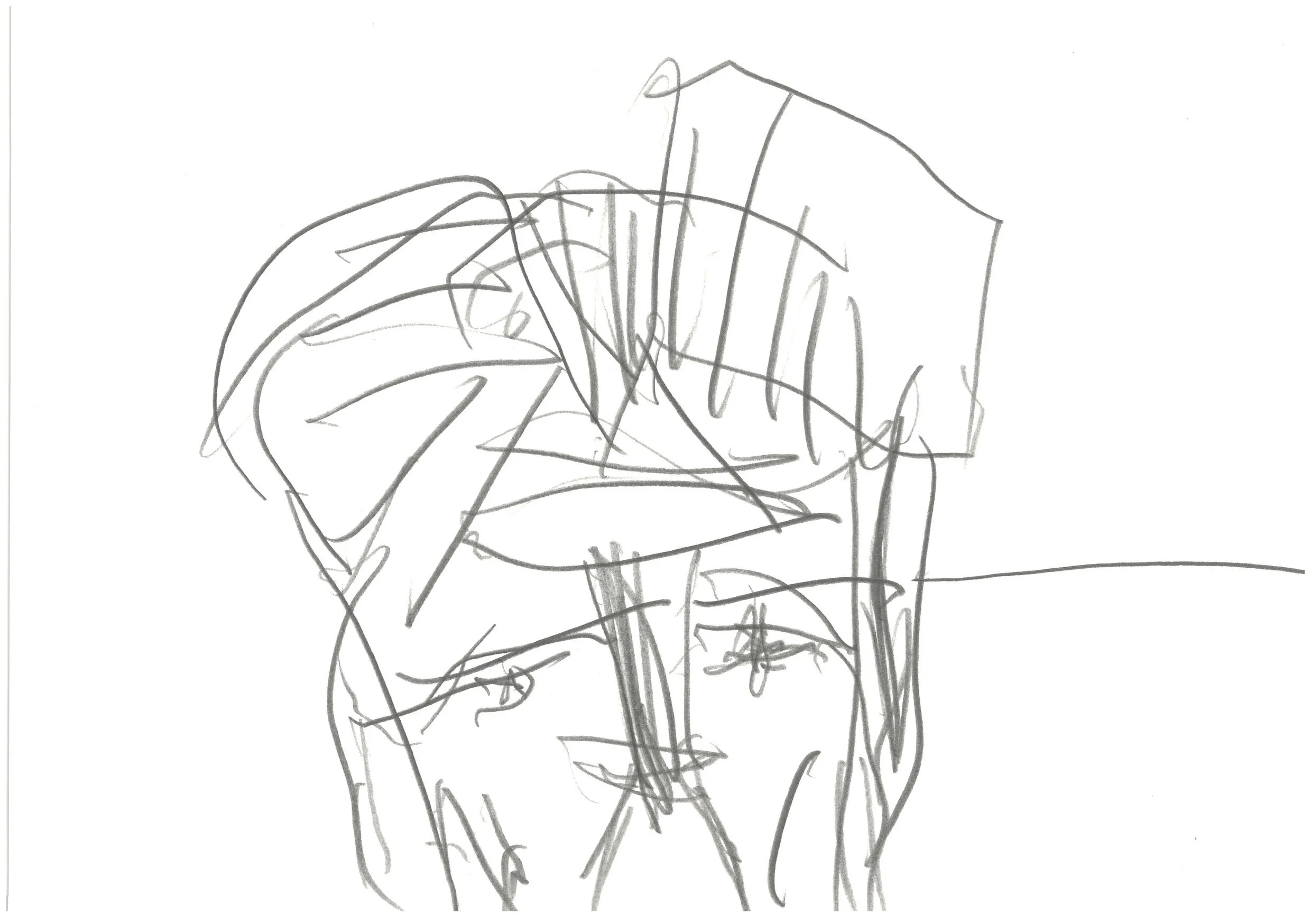 Graphite self portrait without chin.jpg