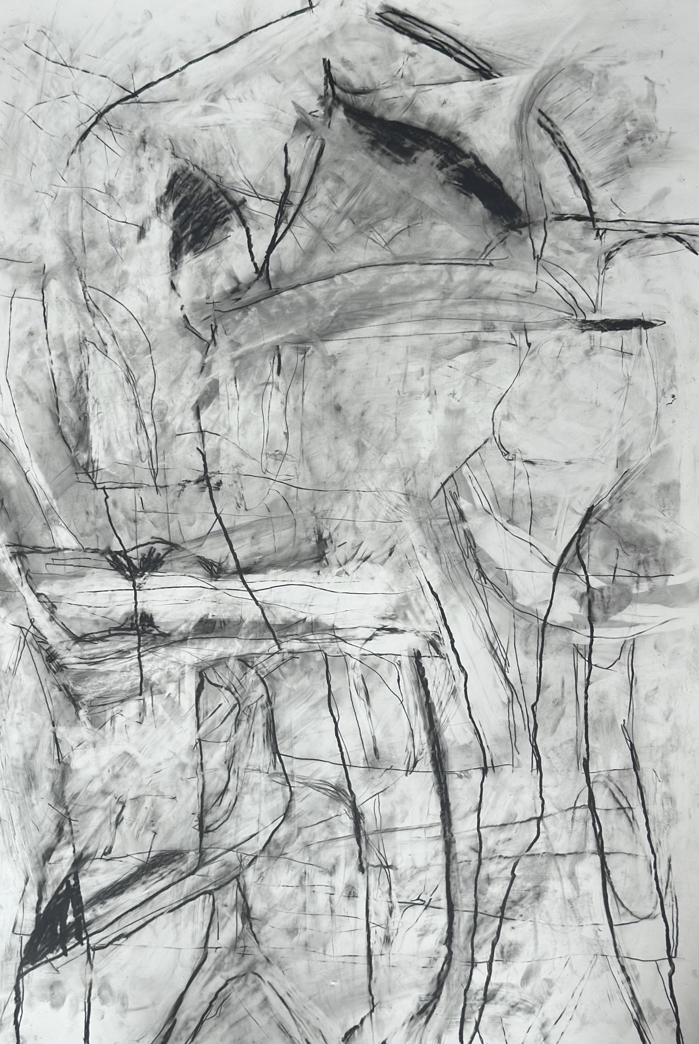 Domestic, 2026. Graphite and water soluble graphite on yupo paper, 93 x 63cm