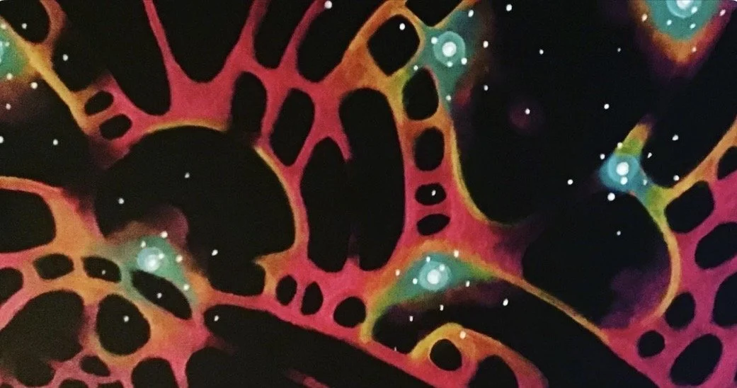 Coraux nébuleuses|
18 x 36 (approximativement)
Acrylique sur toile|
2012
collection privée