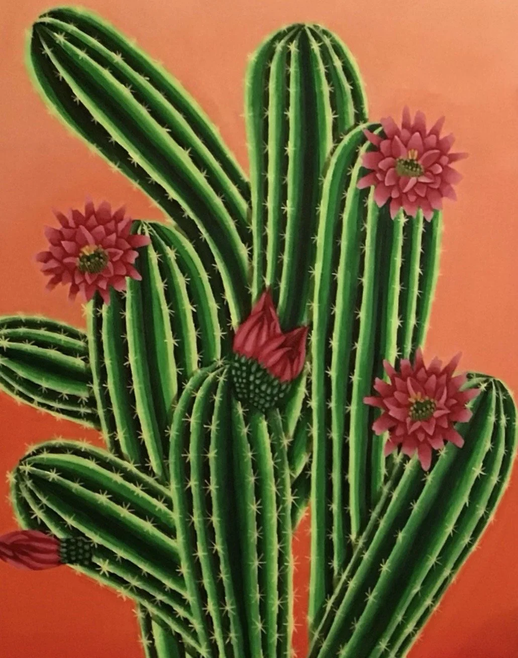 Cactus|
47 x 31 pouces|
Acrylique sur toile|
2023|
Disponible