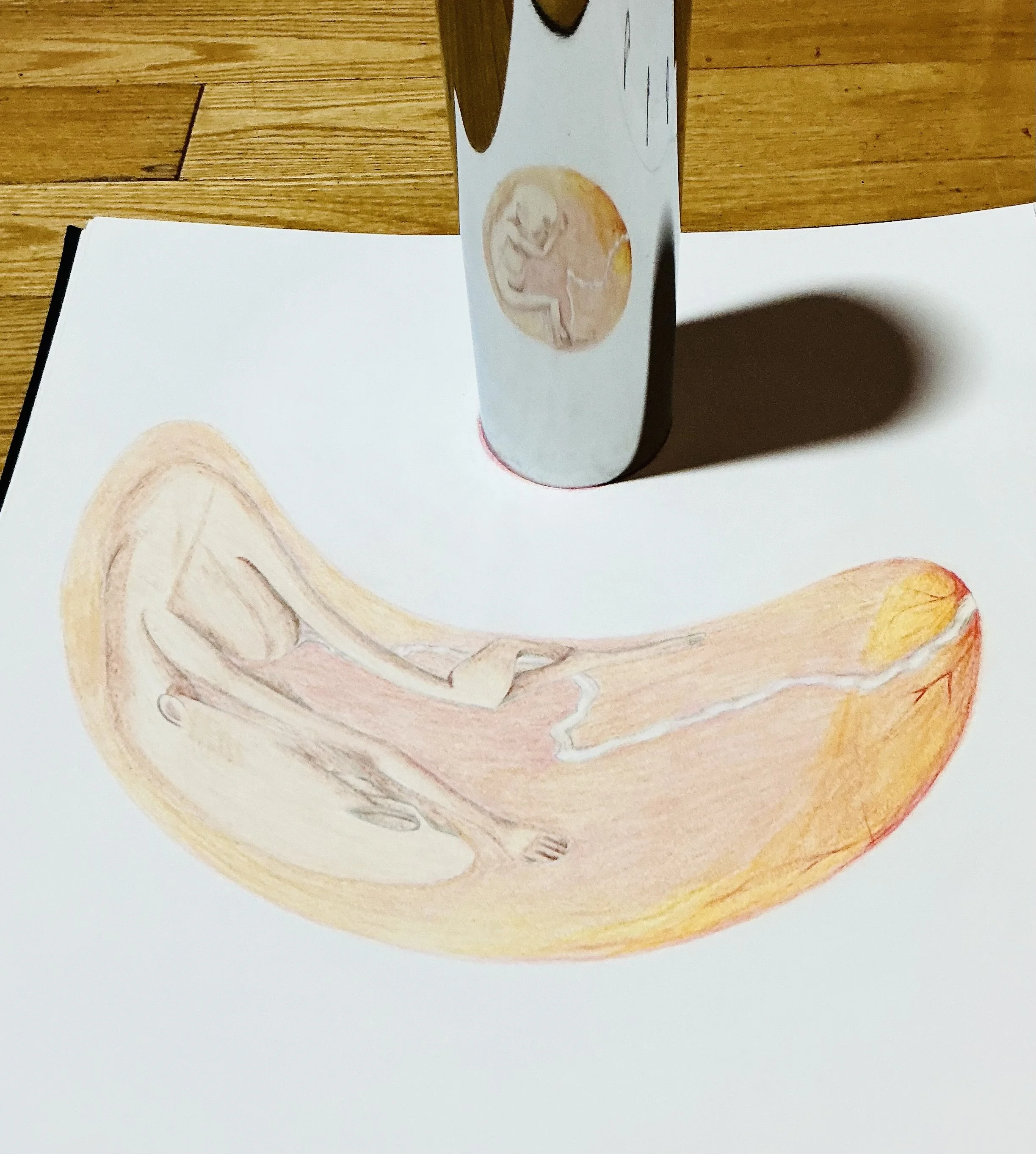 Livre d'artiste sur le temps|
18 x 18 pouces|
Crayons de bois|
2006|
Collection privée