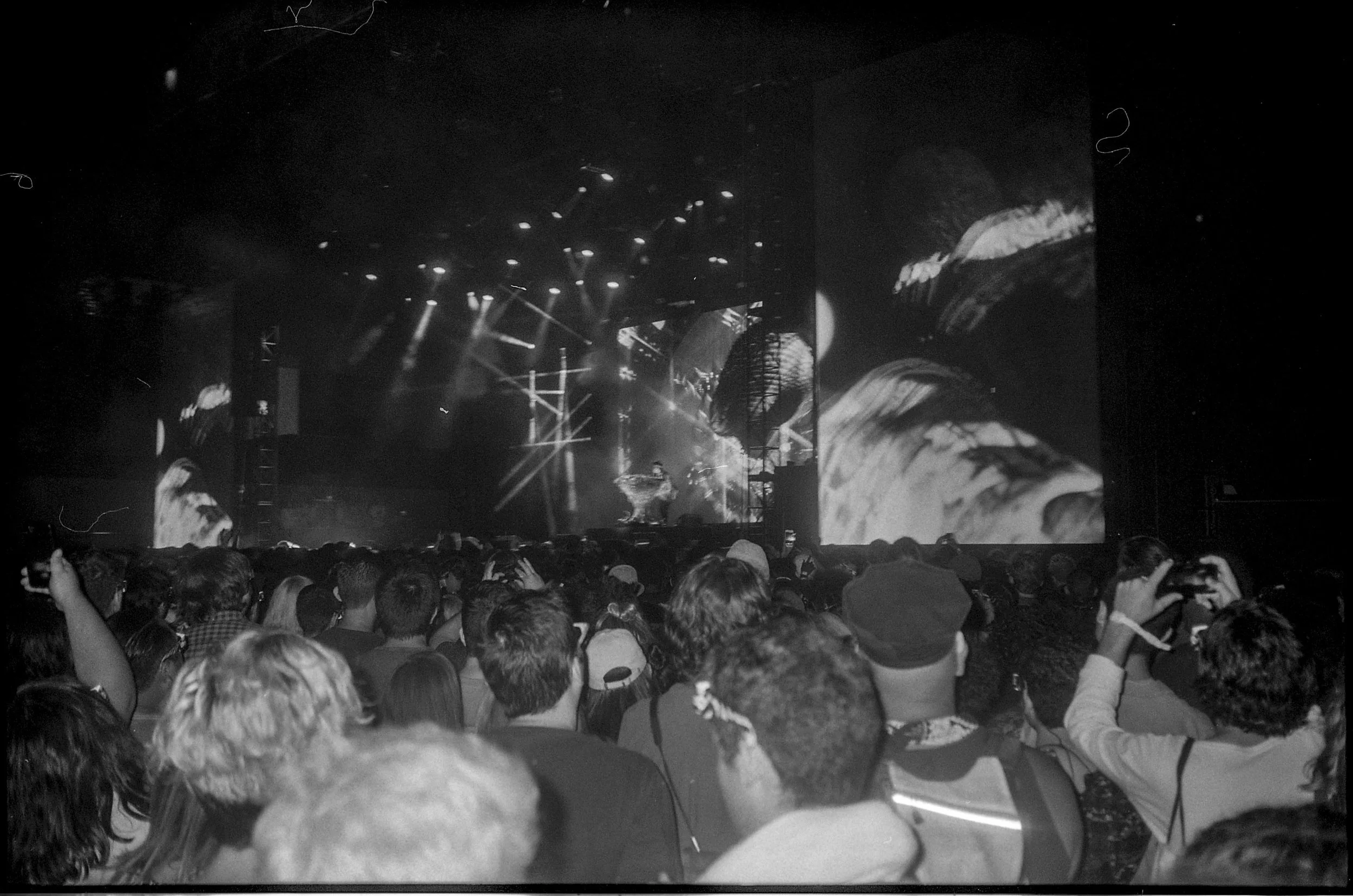 fyf_008.jpg