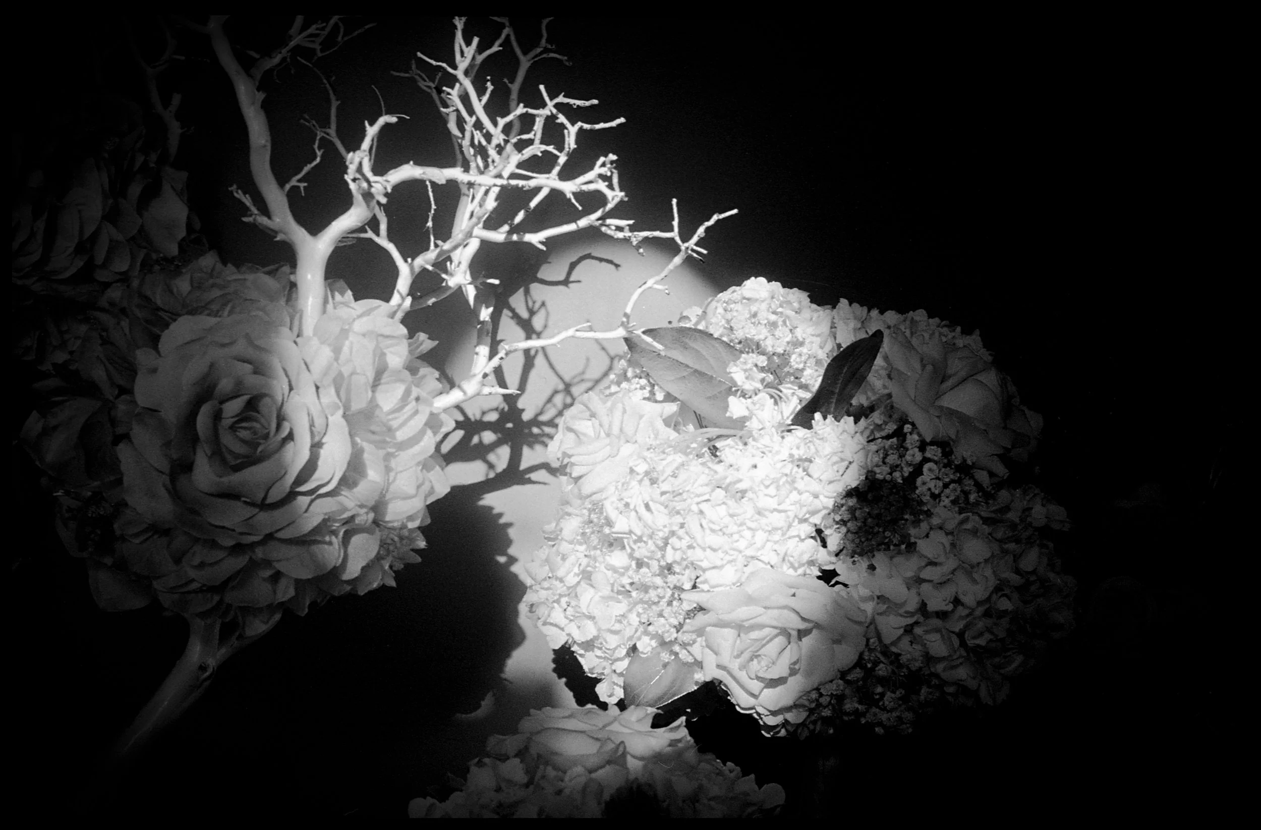 20170225001_001.jpg