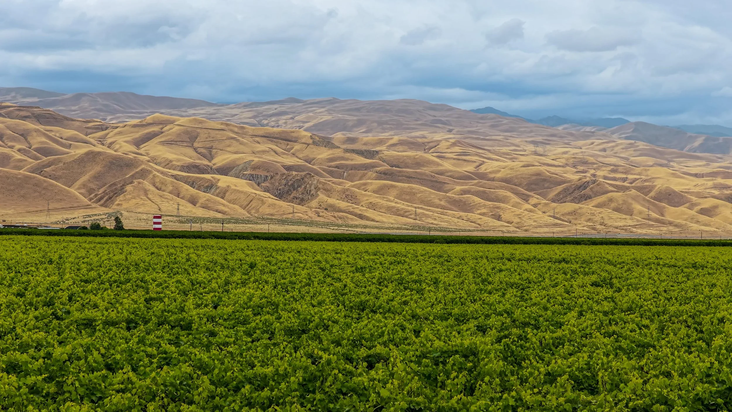 Green agricultural field with rolling golden hills and distant mountains under a cloudy blue sky