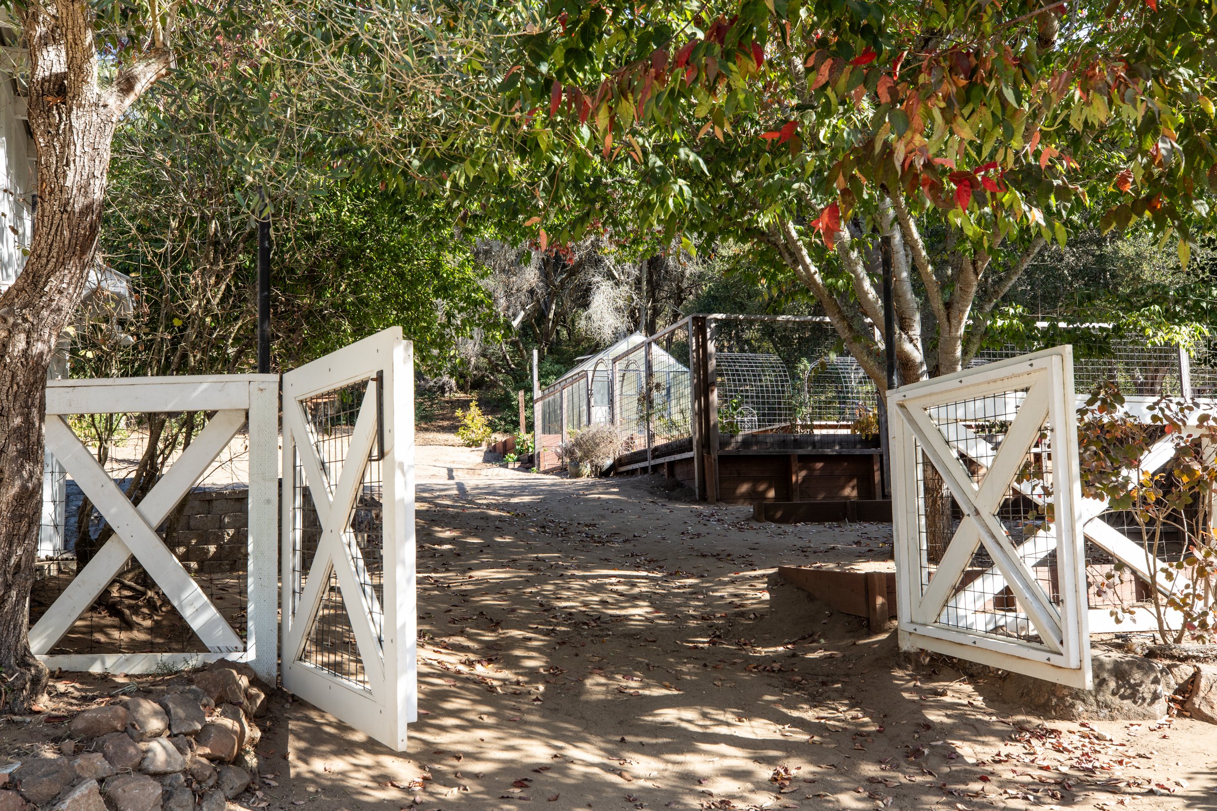 60-Freedom_Matt_Anello-4253-MLS.jpg