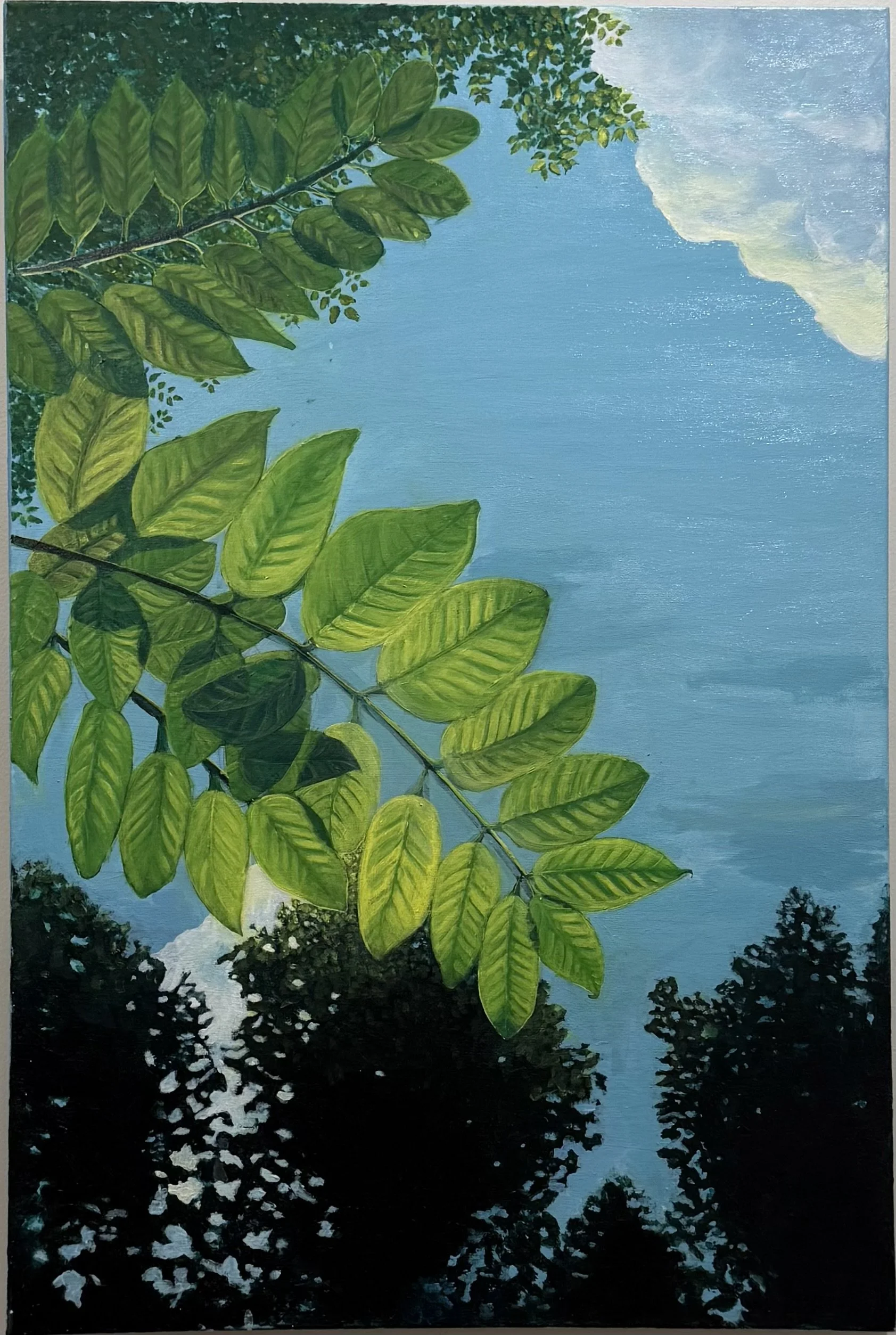 Summer Light- Newton City Hall
