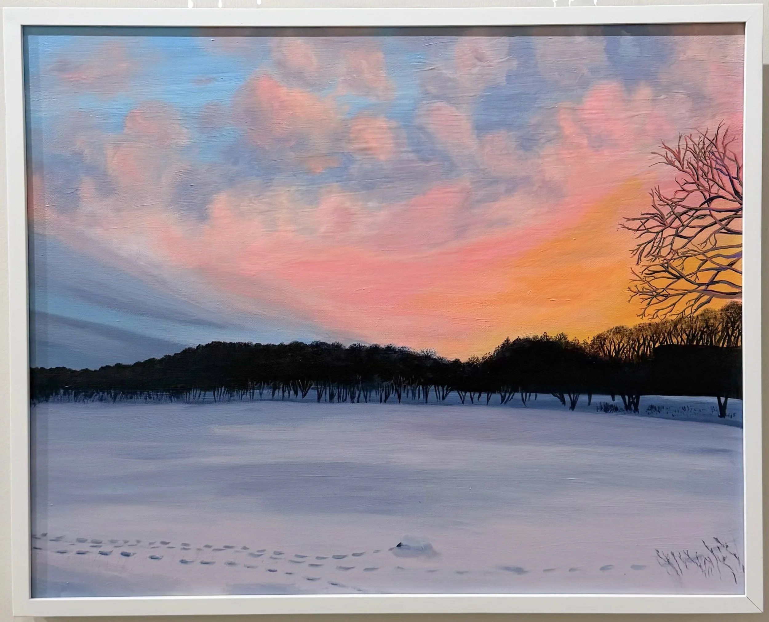 Winter Sky  Walk - Jamaica Pond