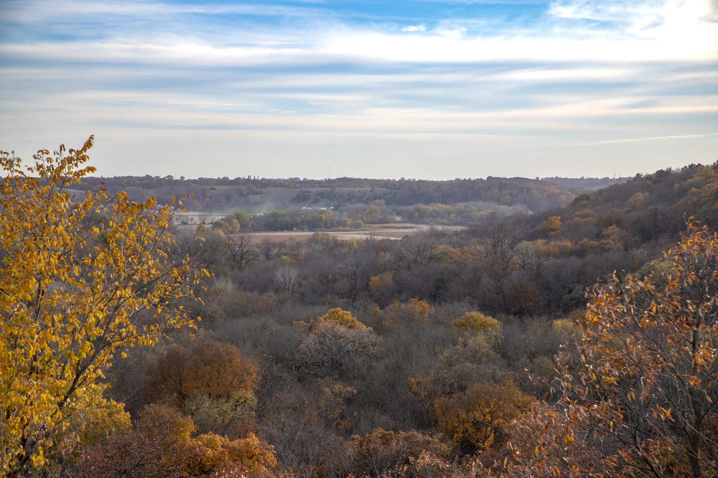 Land view from Clarks Tower