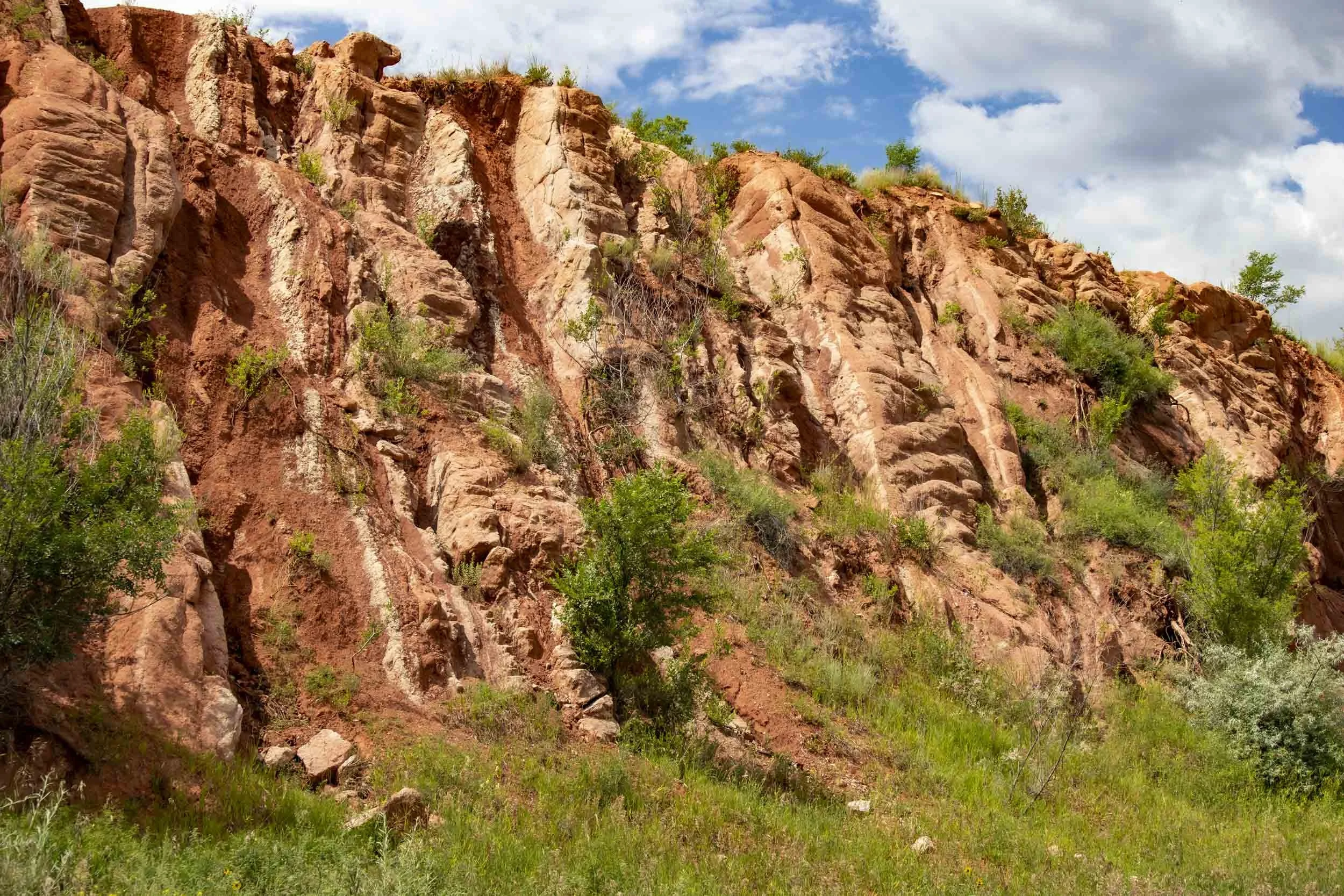 Red Rock Wall.jpg