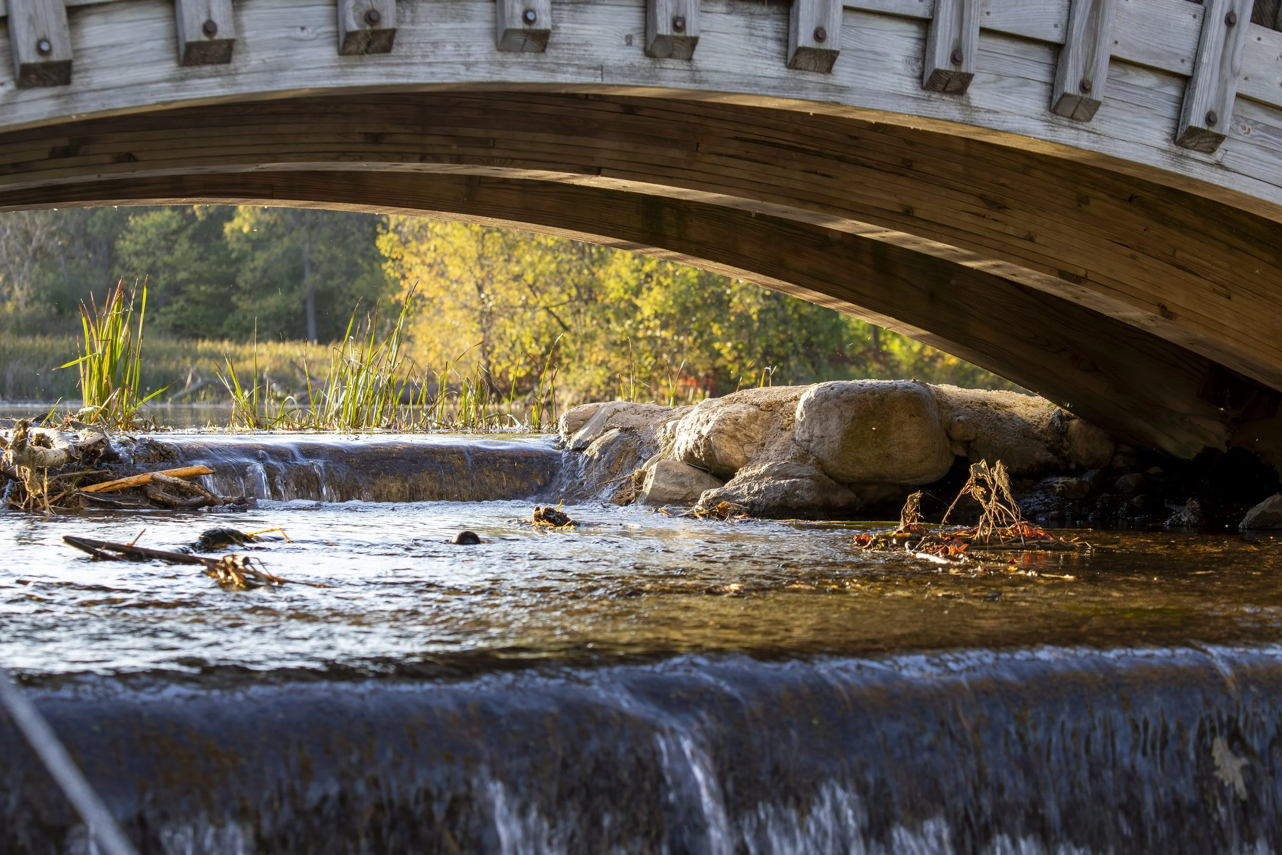 A small stream cascading over rocks beneath a wooden bridge.