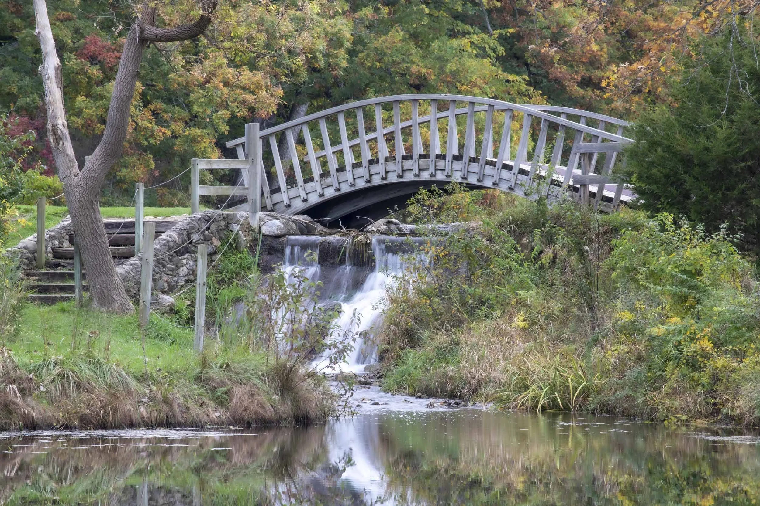An arched wooden bridge above a small waterfall and its reflection in a pond.