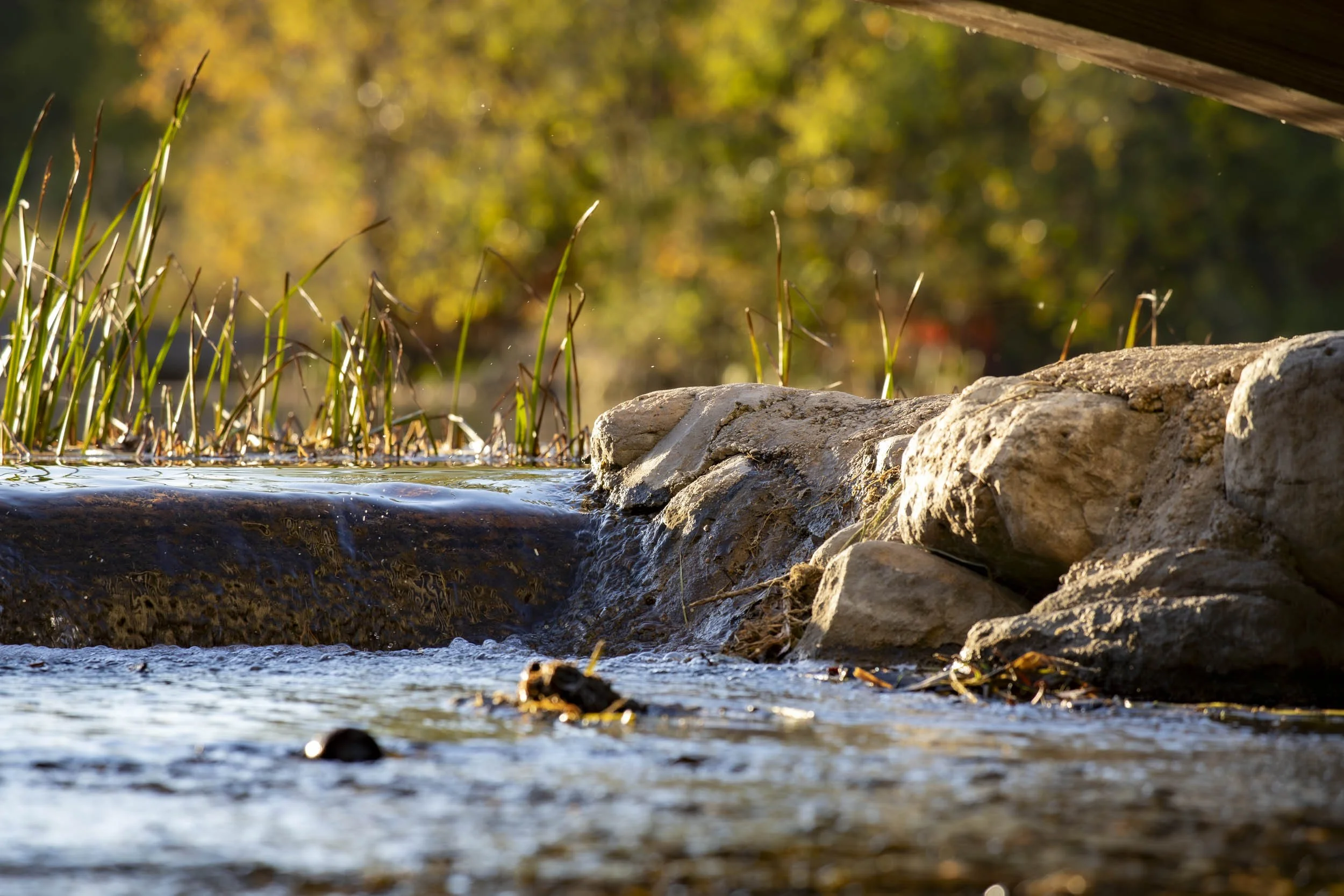 Water flowing around sunlit rocks at the top of a small cascade.