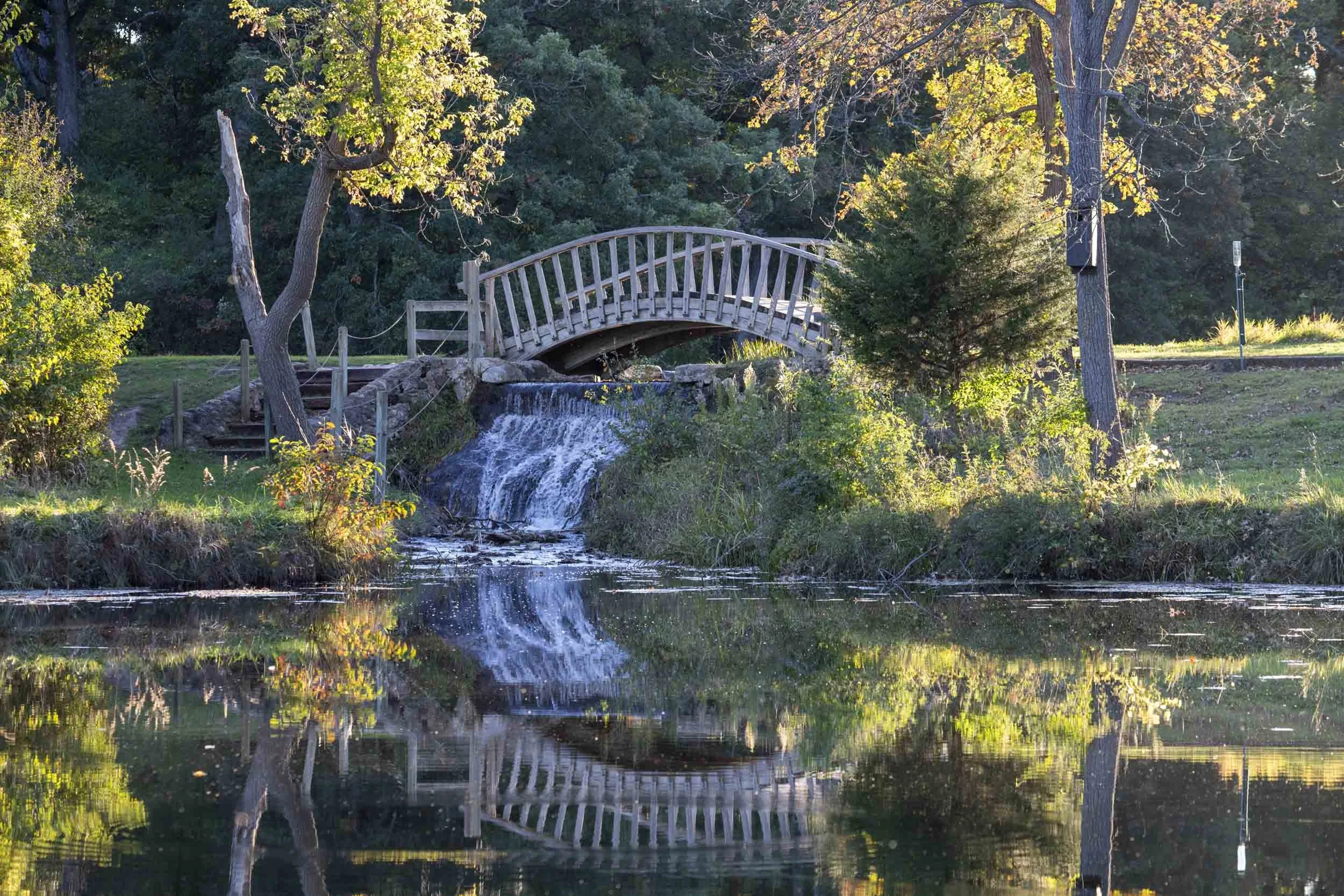 An arched wooden bridge and waterfall mirrored in still pond water.