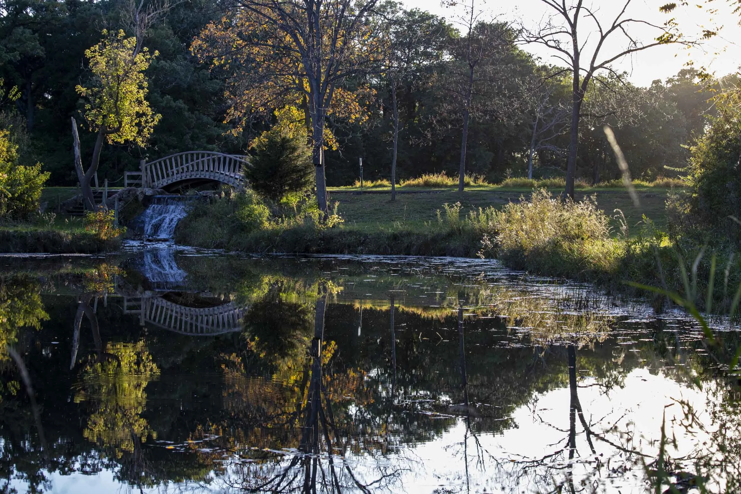 Trees and an arched footbridge reflected in a shaded pond.