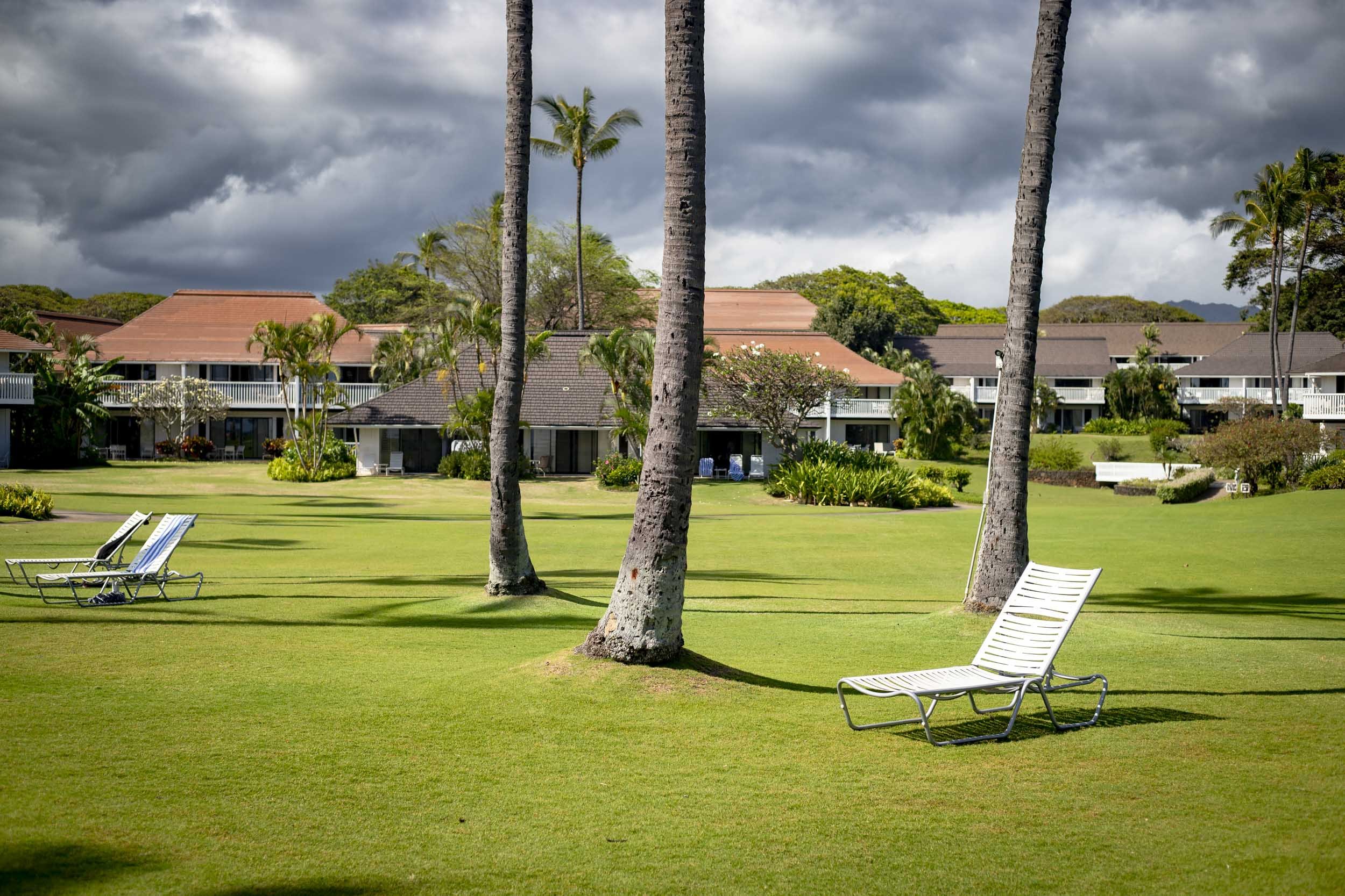 Palm trees and lounge chairs on a green lawn outside tropical resort buildings.