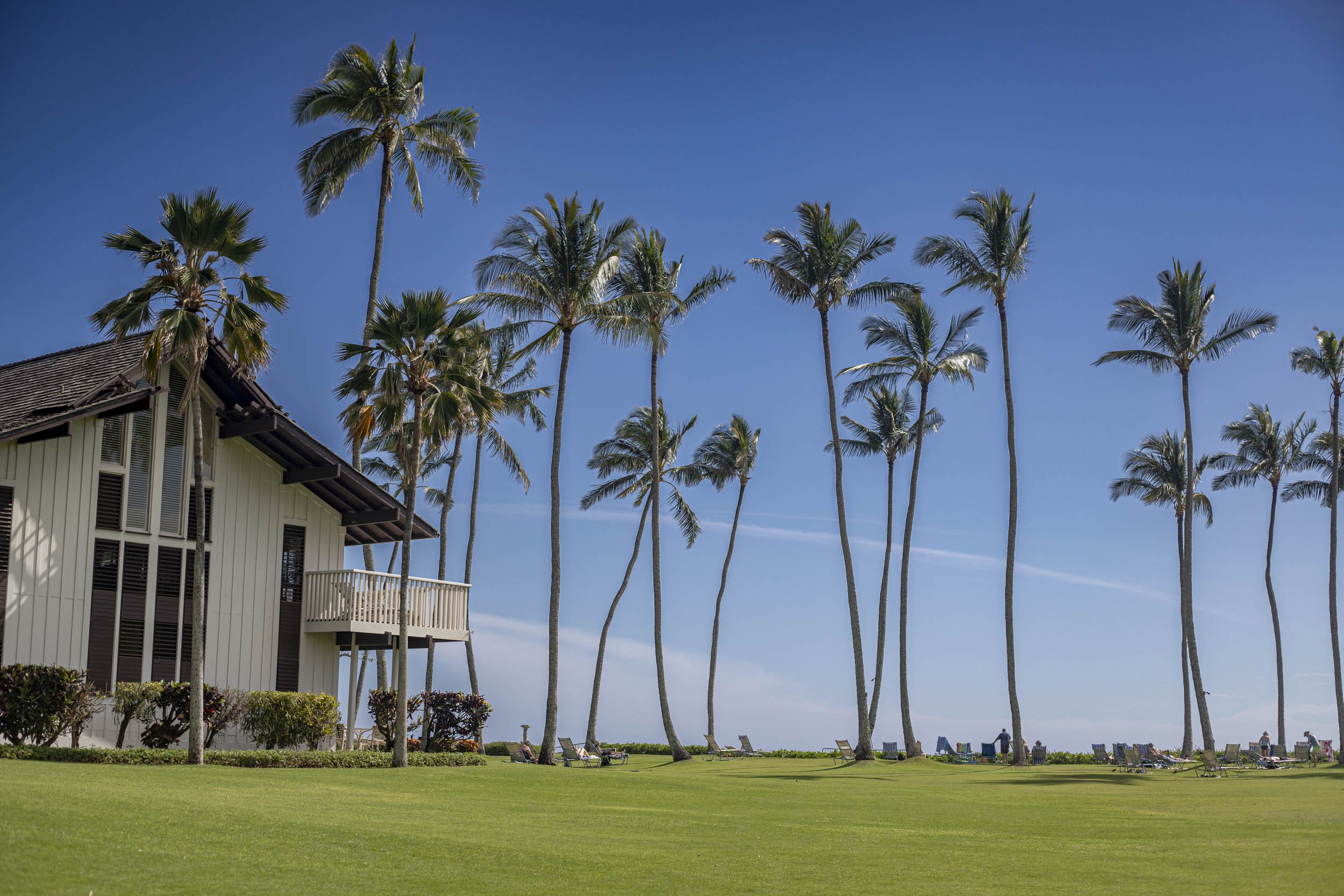 Tall palms beside a resort building and a lawn overlooking the ocean.
