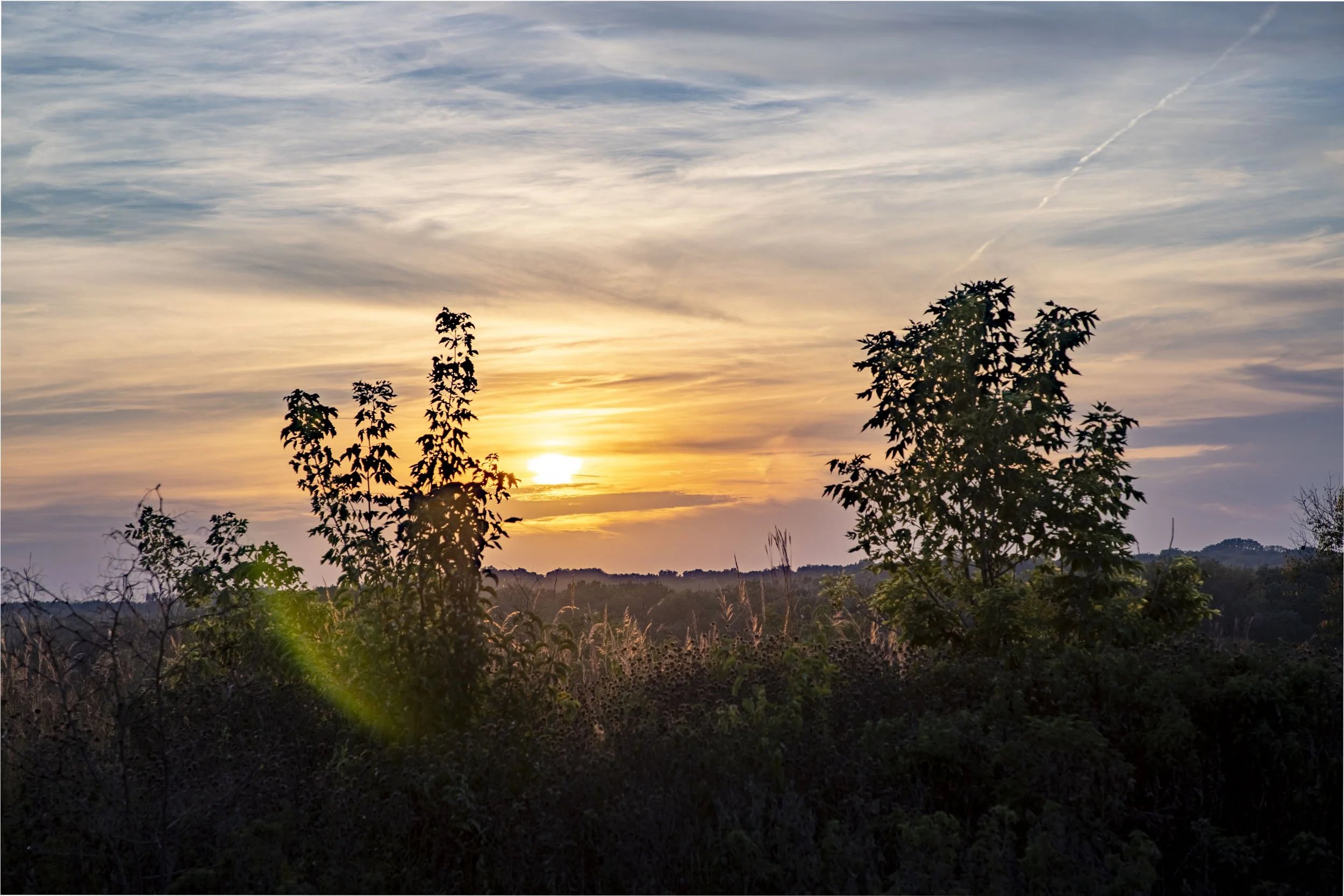 Sun setting behind trees beneath a softly colored sky above the Fox River.