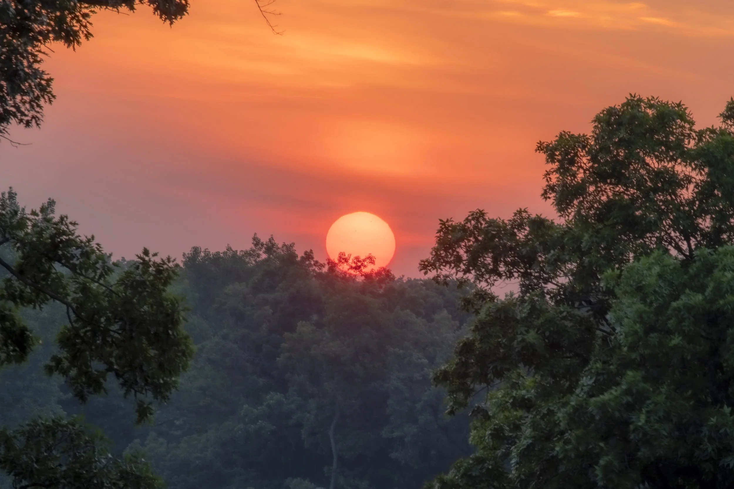 Red sun setting behind a wooded ridge beneath an orange sky.
