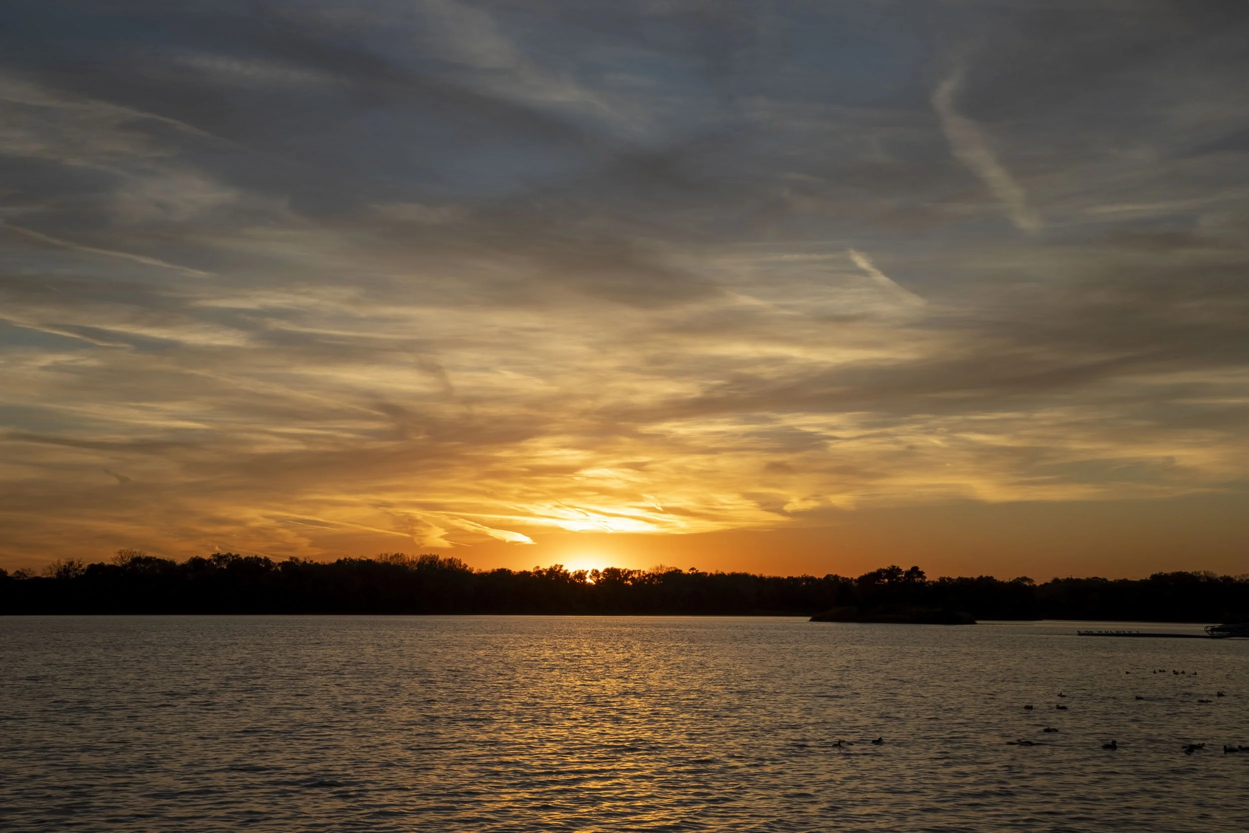 Golden sunset beneath sweeping clouds over a lake and a dark tree-lined horizon.