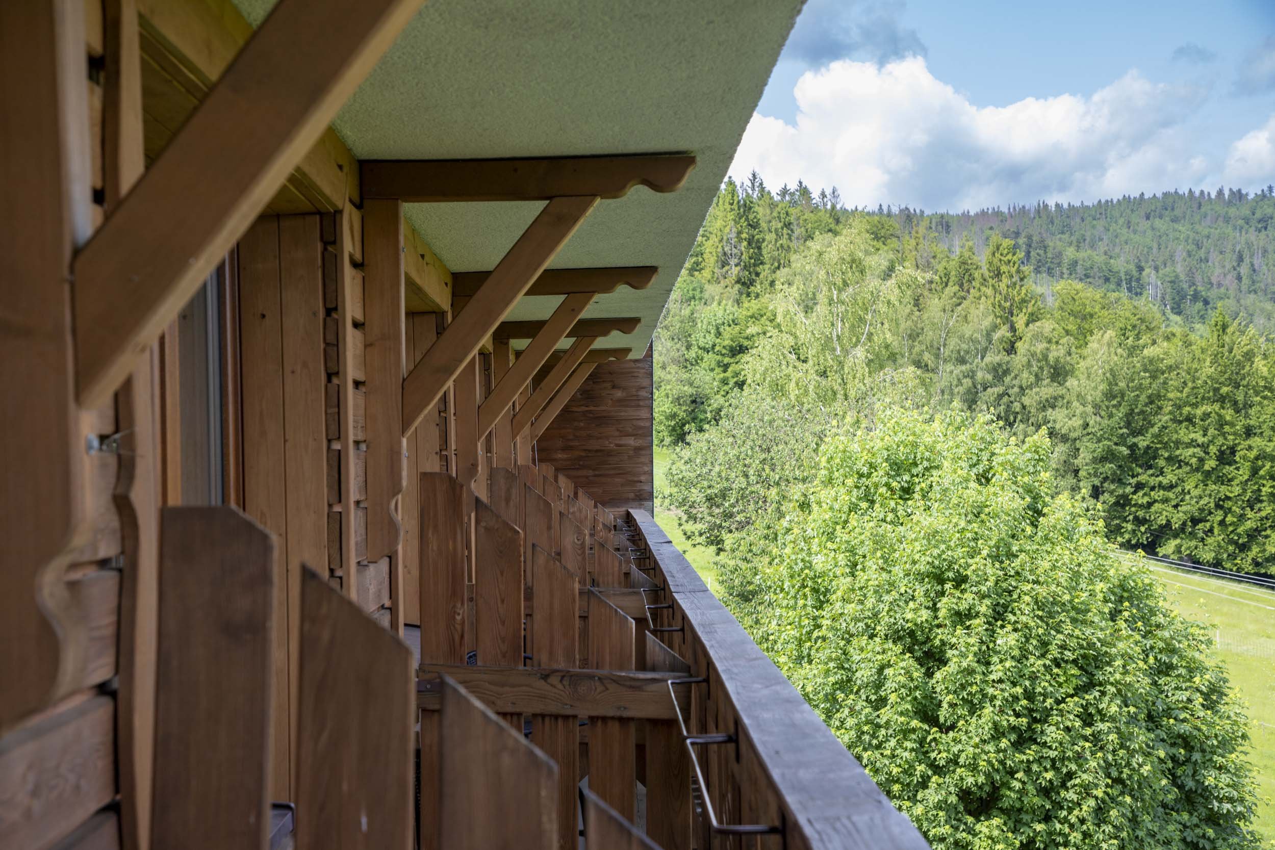 Bahenec balkon-250609.jpg
