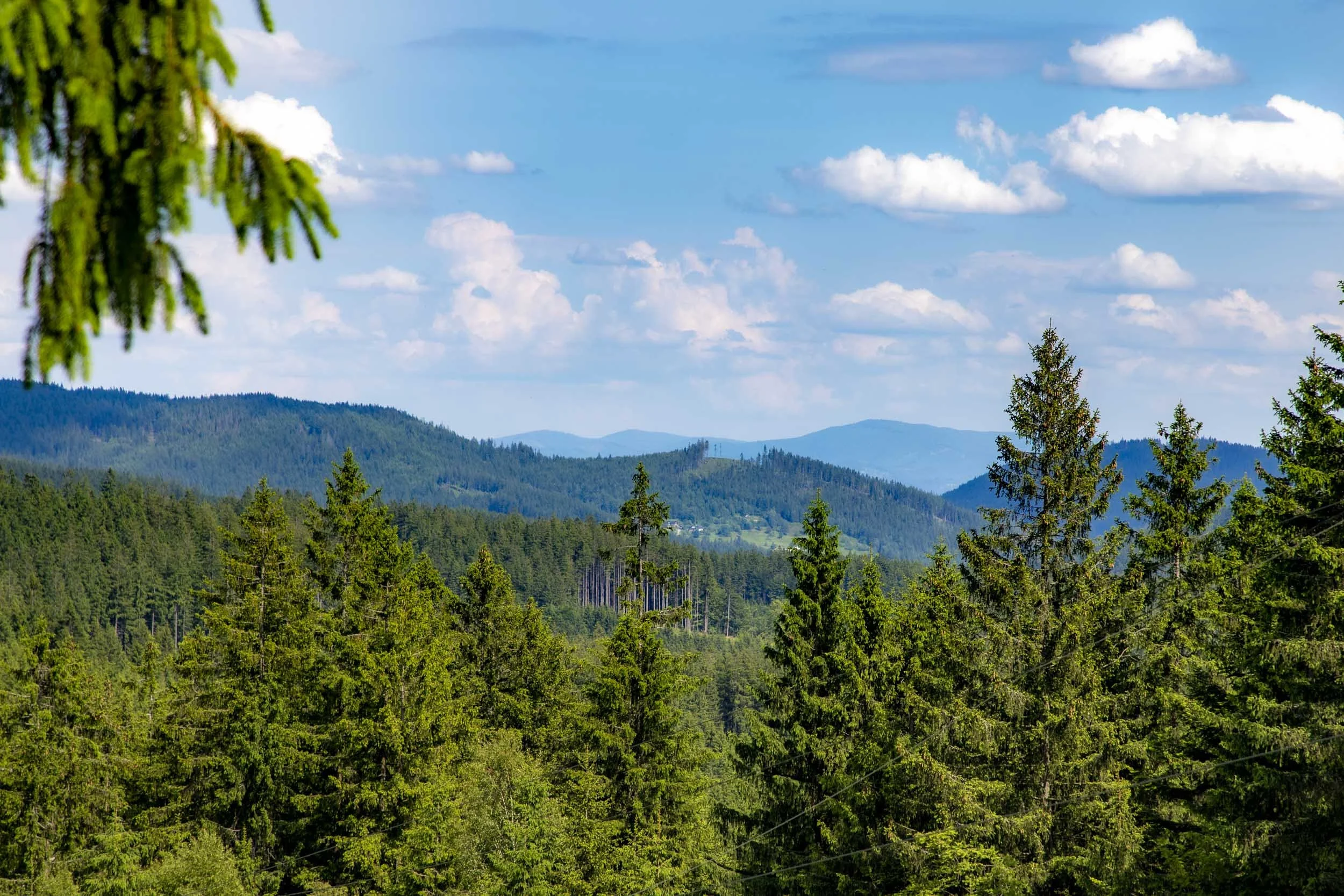 Beskydy-250606.jpg