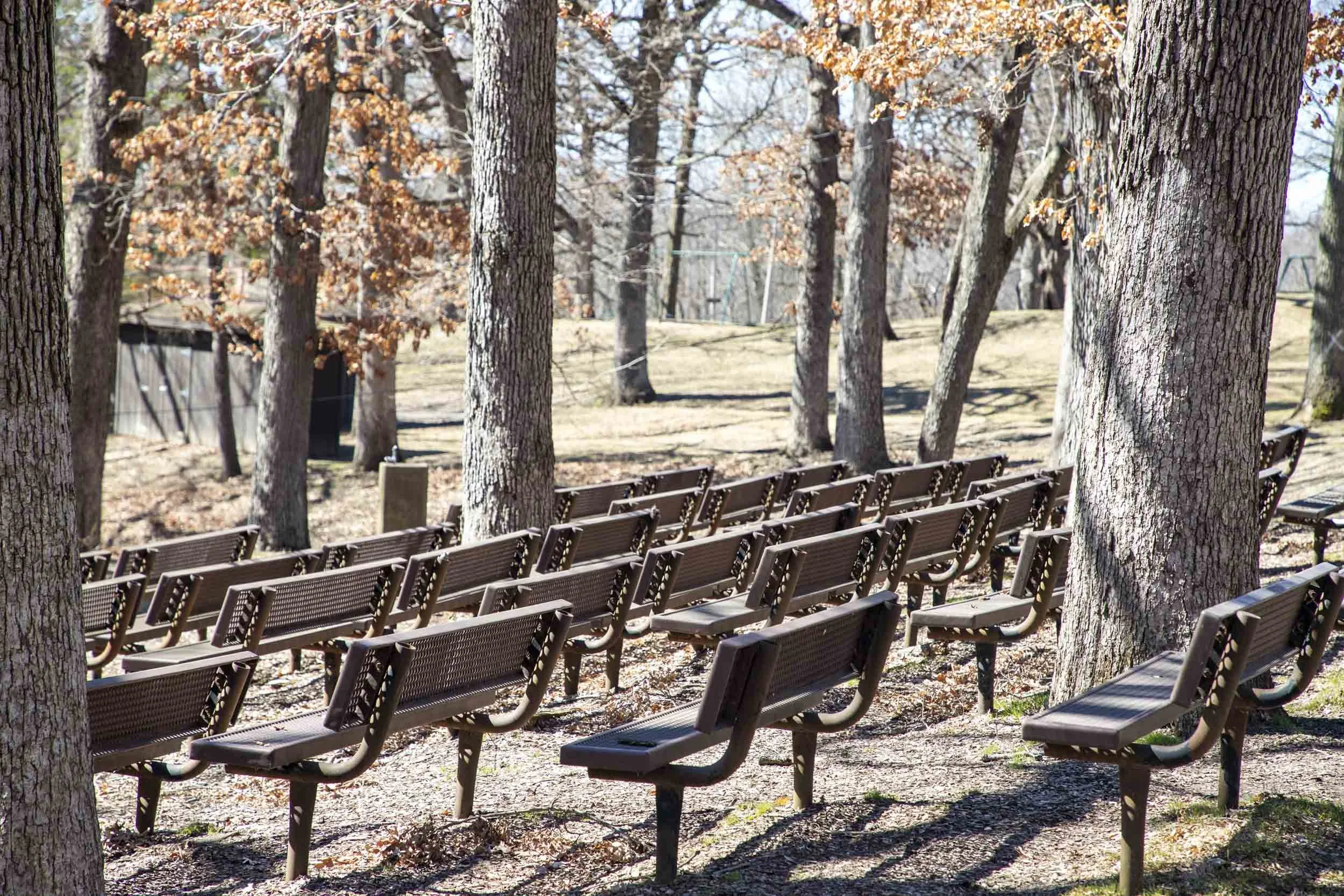 Empty park with rows of brown benches among tall trees with bare branches and dry leaves on the ground.
