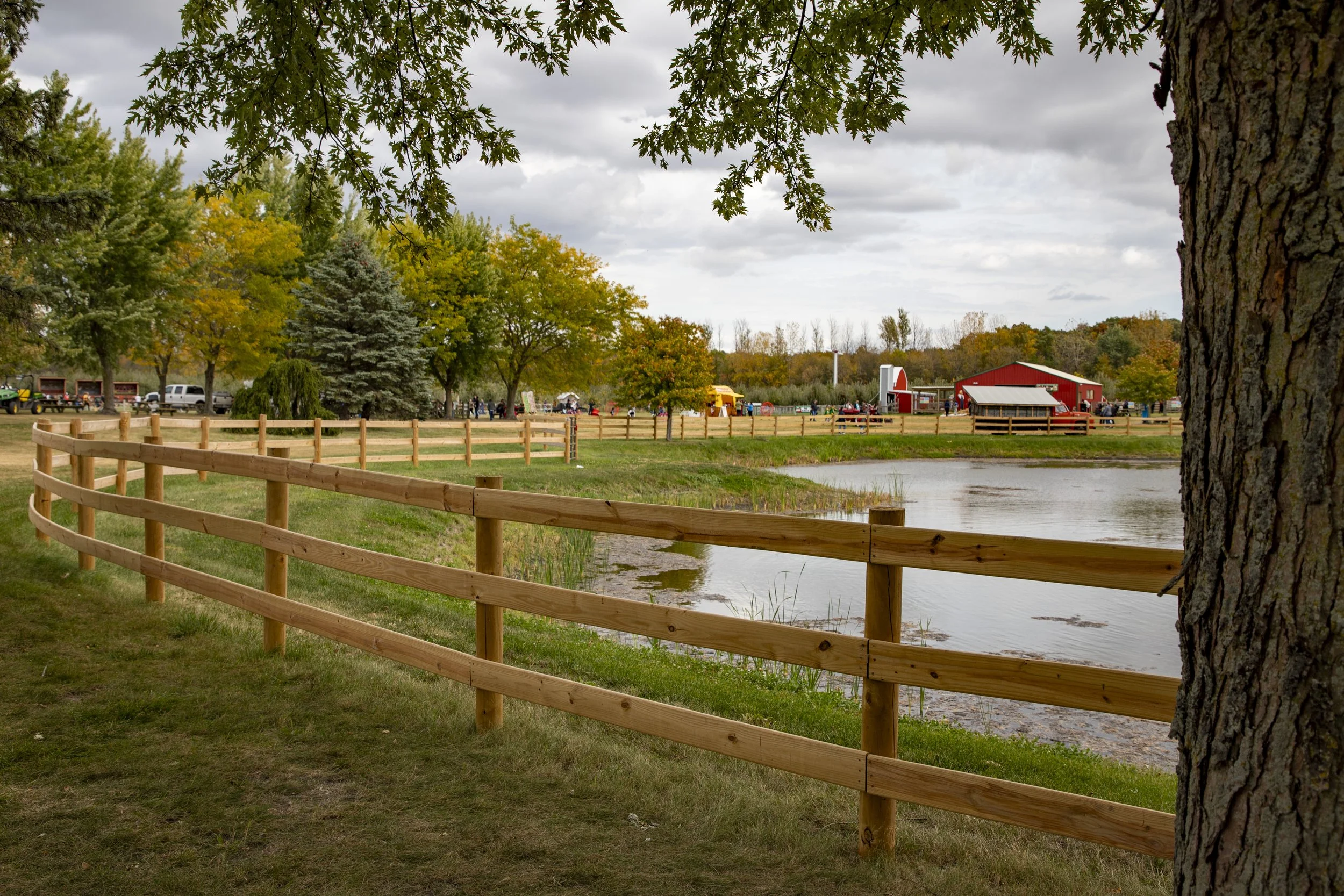 New wooden fence around the pond at All Seasons Orchard. Lined with beautiful trees.
