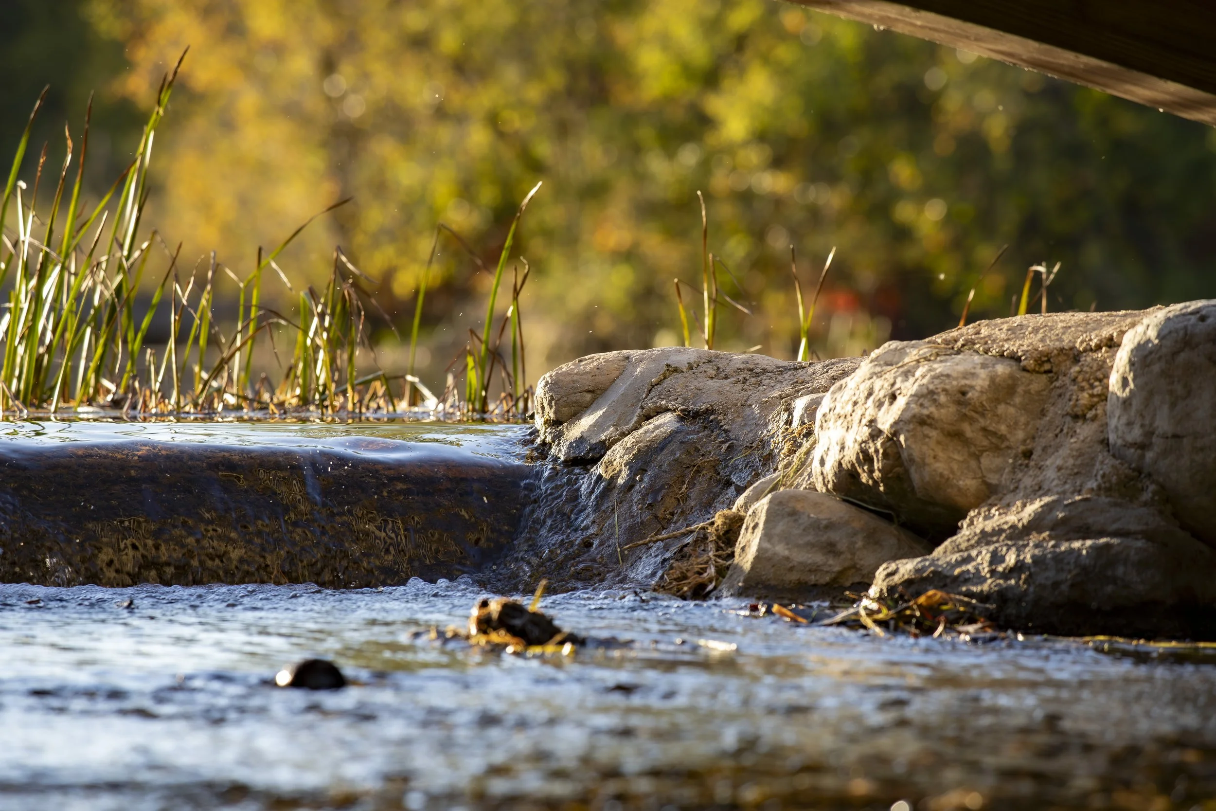 A shot of the water surface under the bridge.