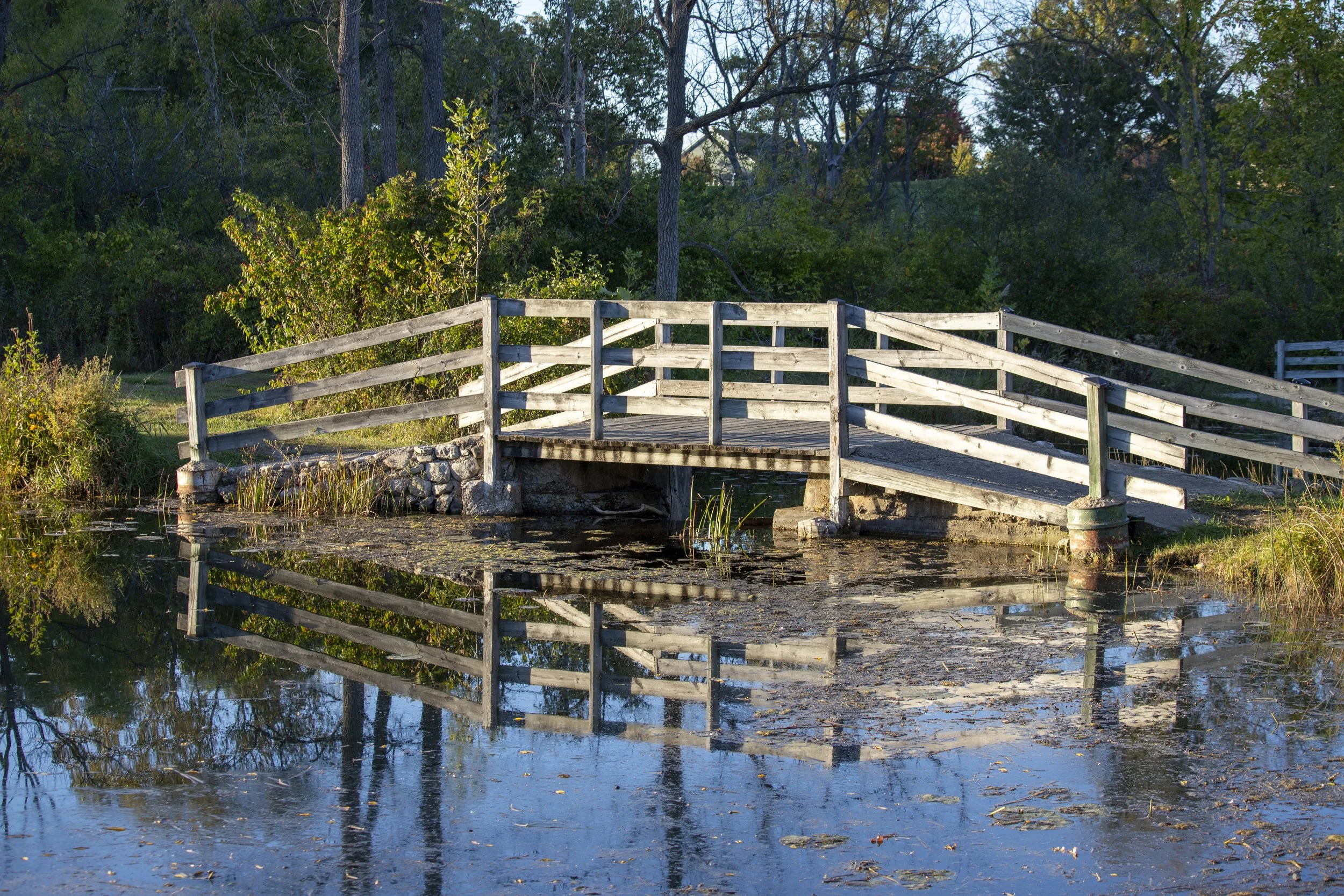 reflection in the water, bridge at Fel-PRO, pond bridge