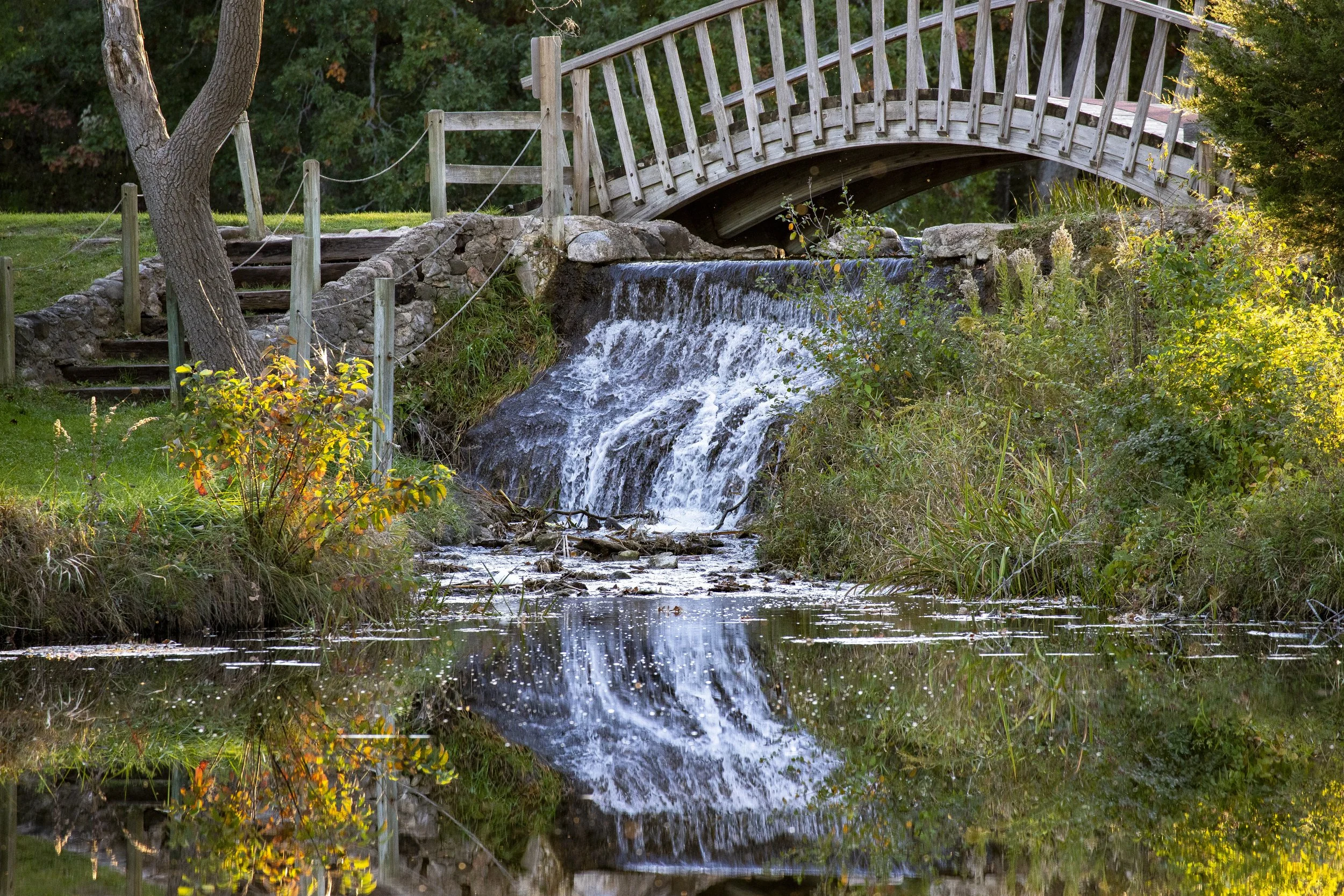 Fel-PRO: A Peaceful Haven for Wildlife and Humans