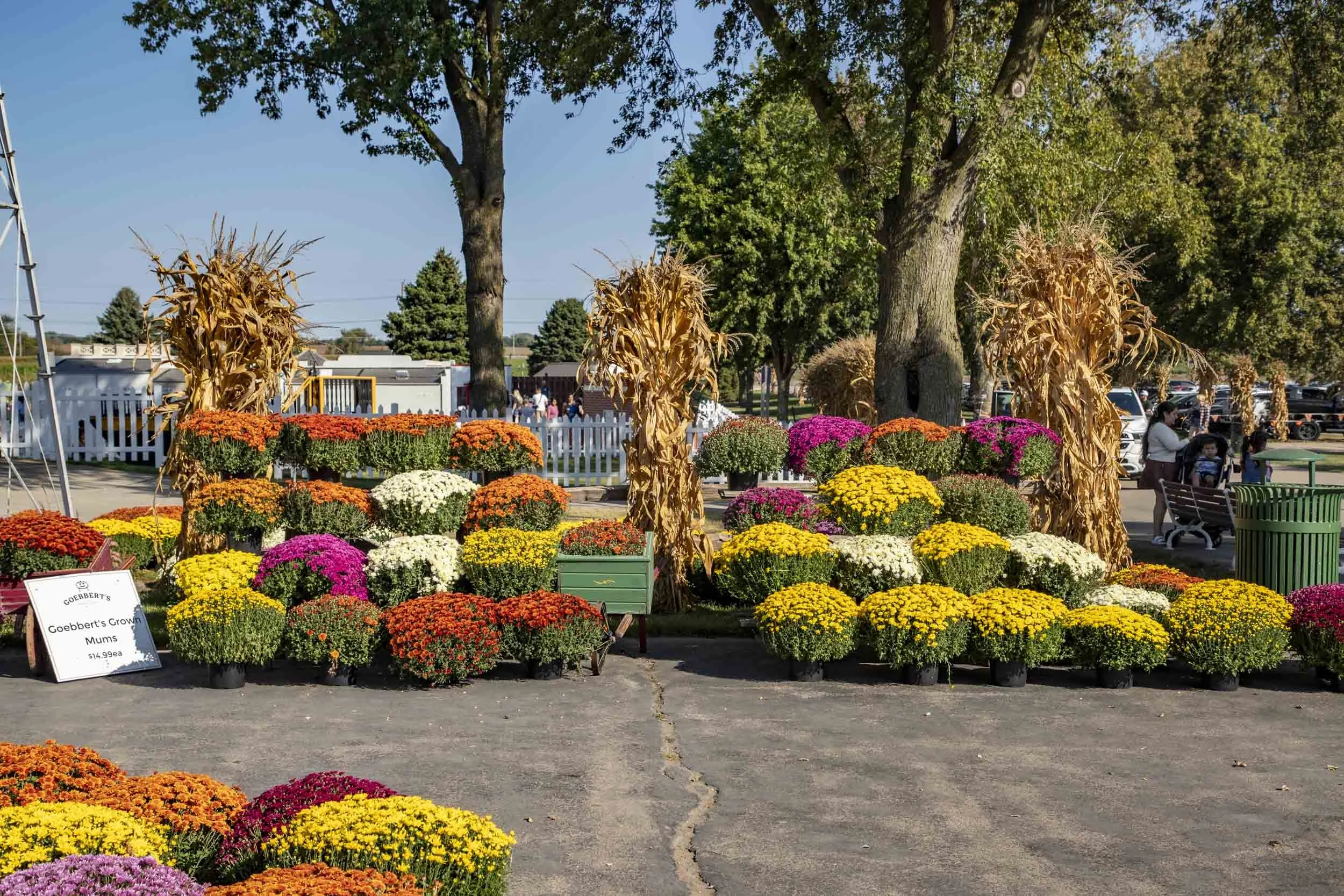 The farm gate is decorated with beautiful sets of colorful flowers, inviting you to buy them.