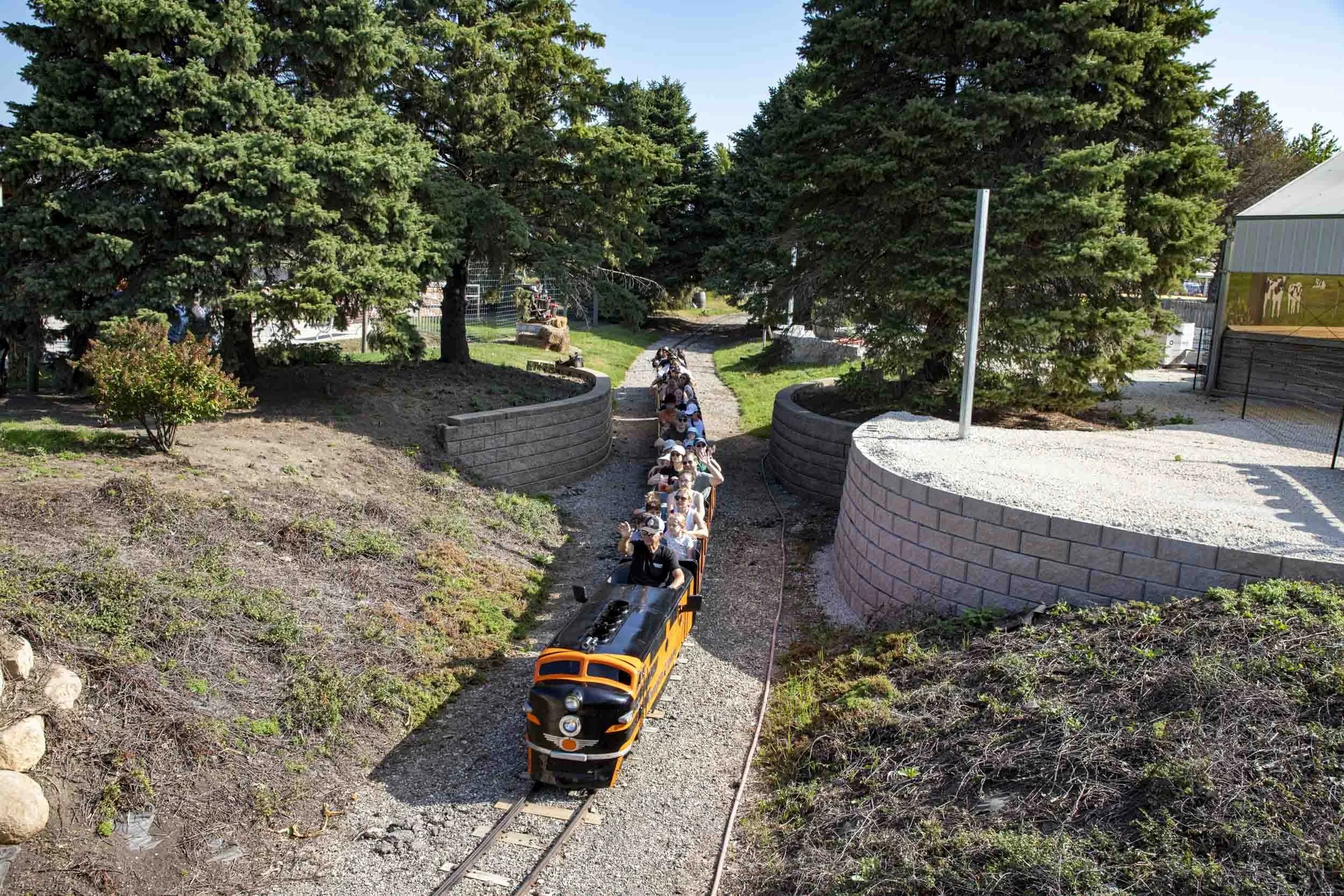 little train provides rides for visitors at the farm ground