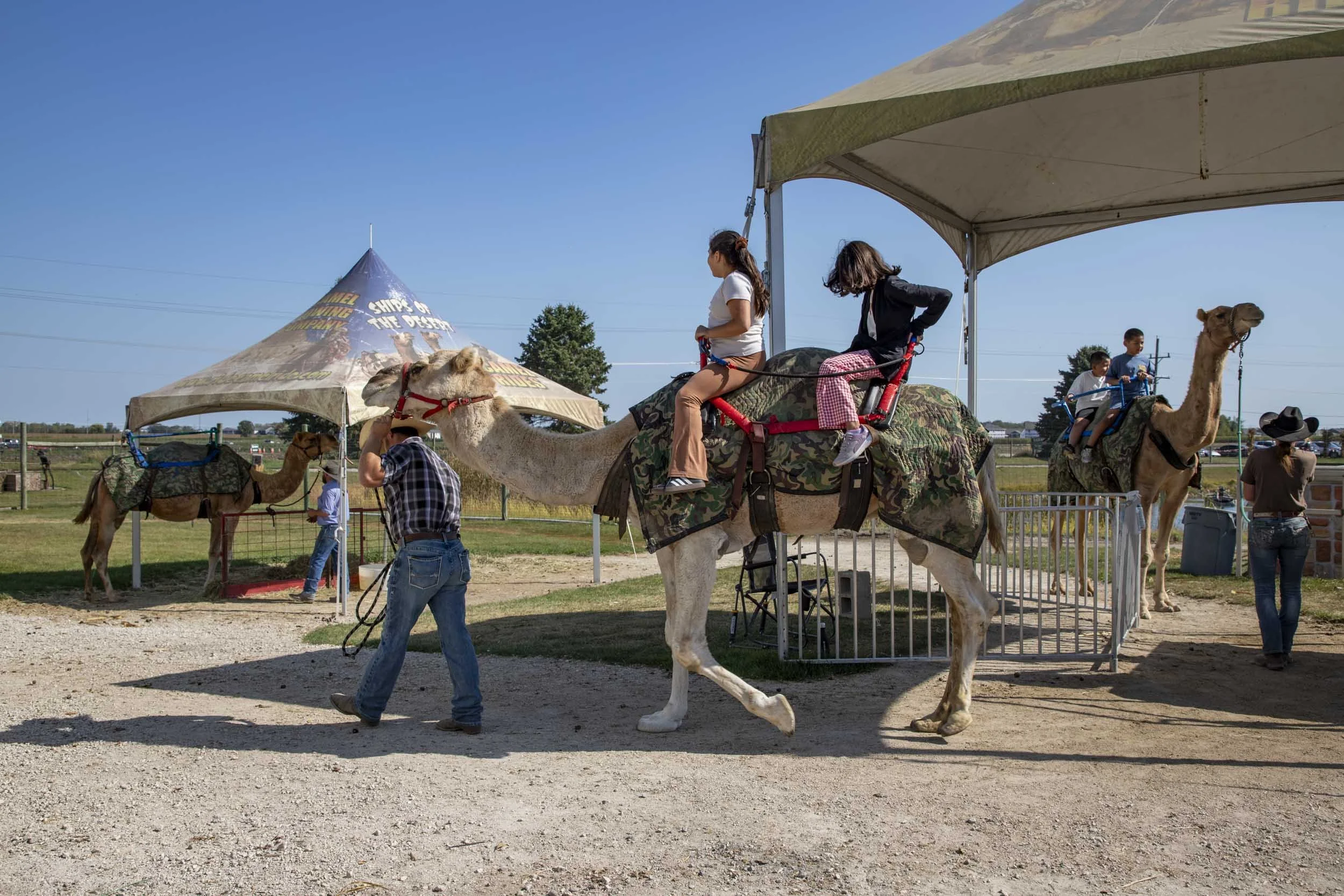 Using camels to take visitors on a tour, a new experience!