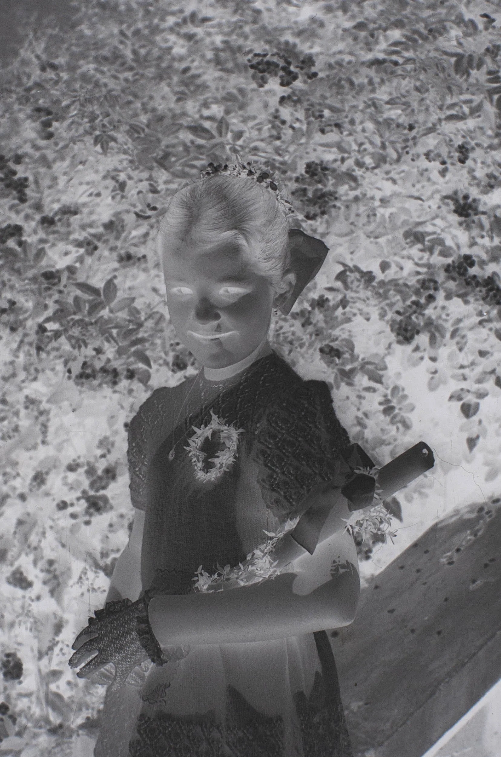 Original photographic negative of a girl wearing a dress and gloves, holding a rolled document beside flowering shrubs.