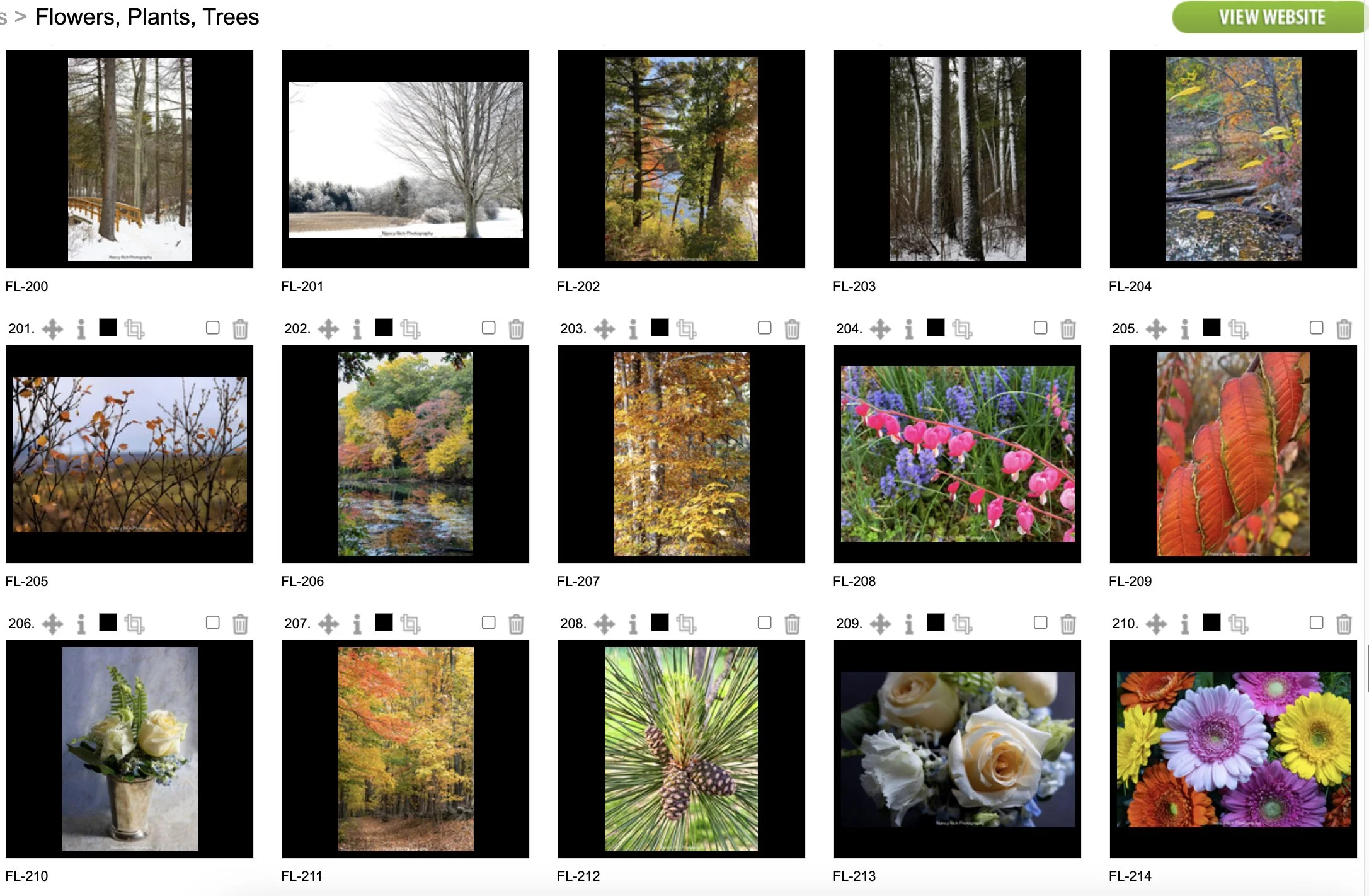 Flowers14-Screenshot 2025-10-21 at 7.02.15 AM copy.jpg