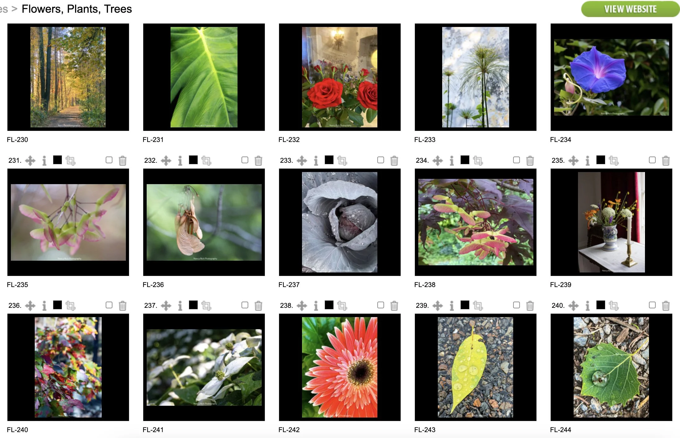 Flowers16-Screenshot 2025-10-21 at 7.02.32 AM copy.jpg