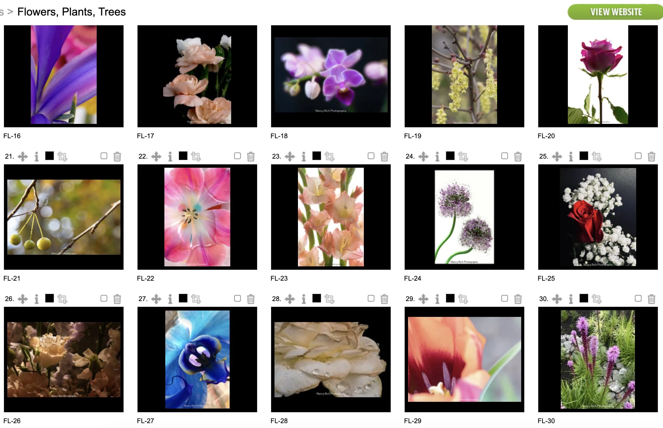 Flowers2-Screenshot 2025-10-21 at 7.00.33 AM.jpg