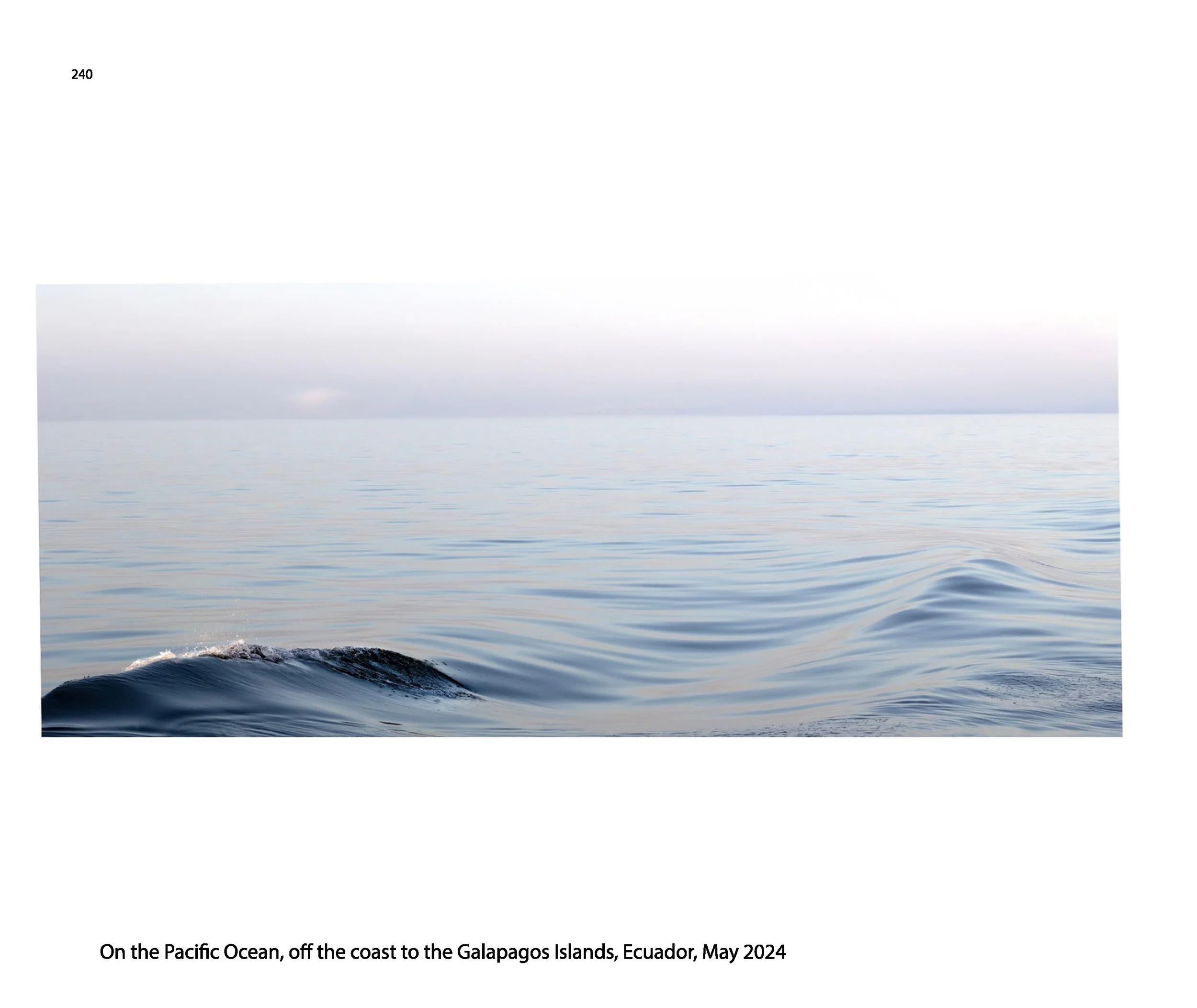 New JPGs__Page_242.jpg