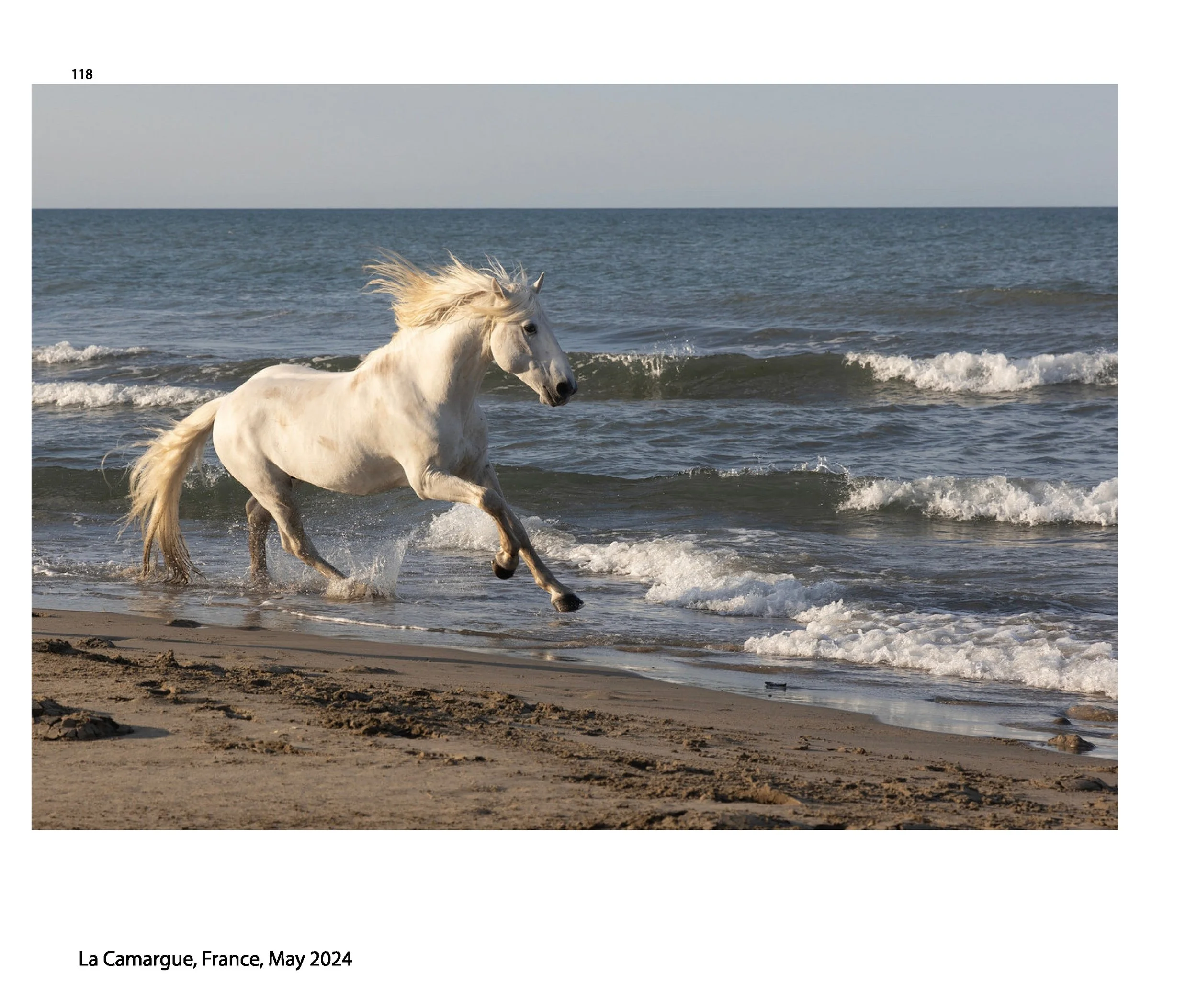 New JPGs__Page_120.jpg