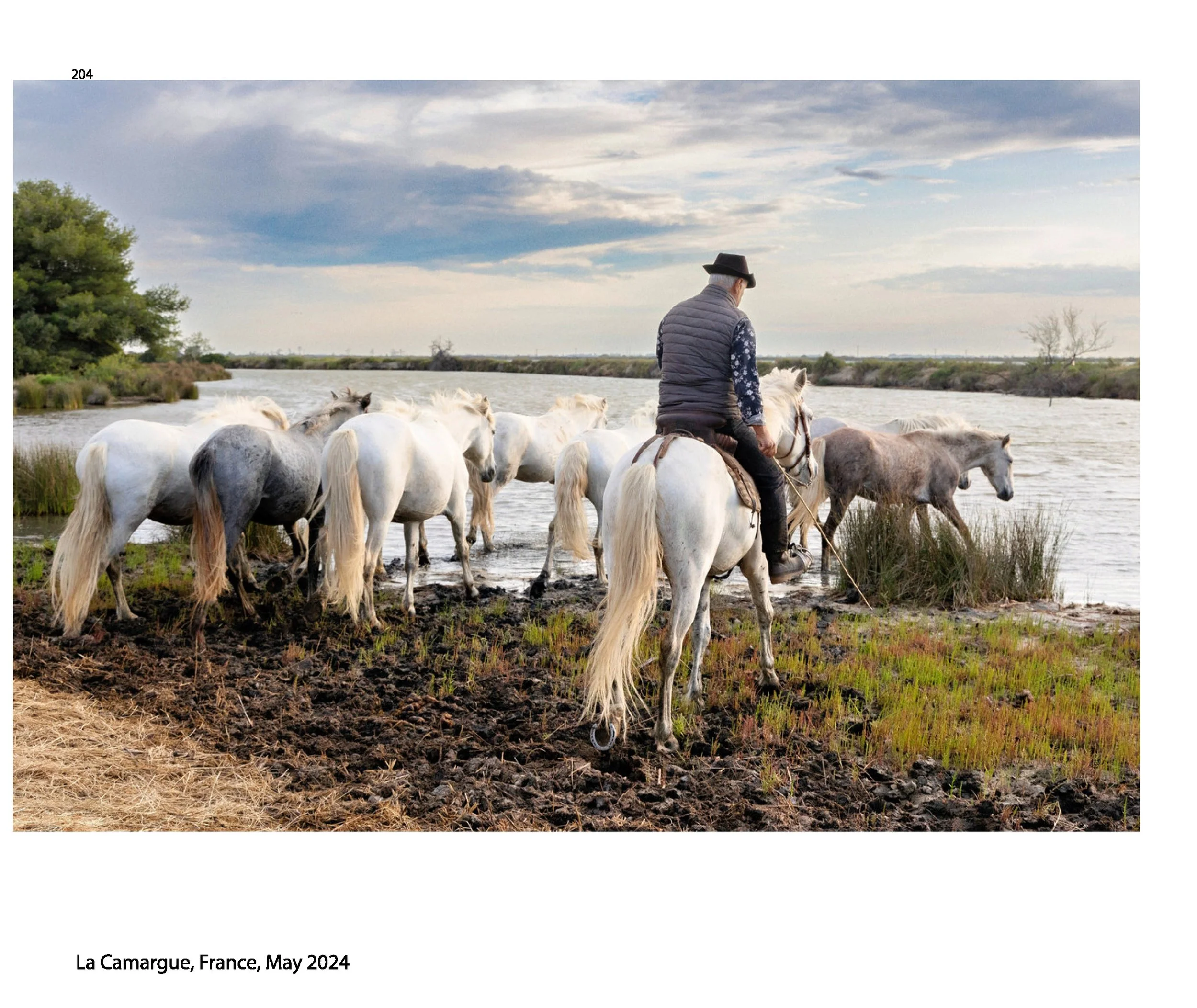 New JPGs__Page_206.jpg