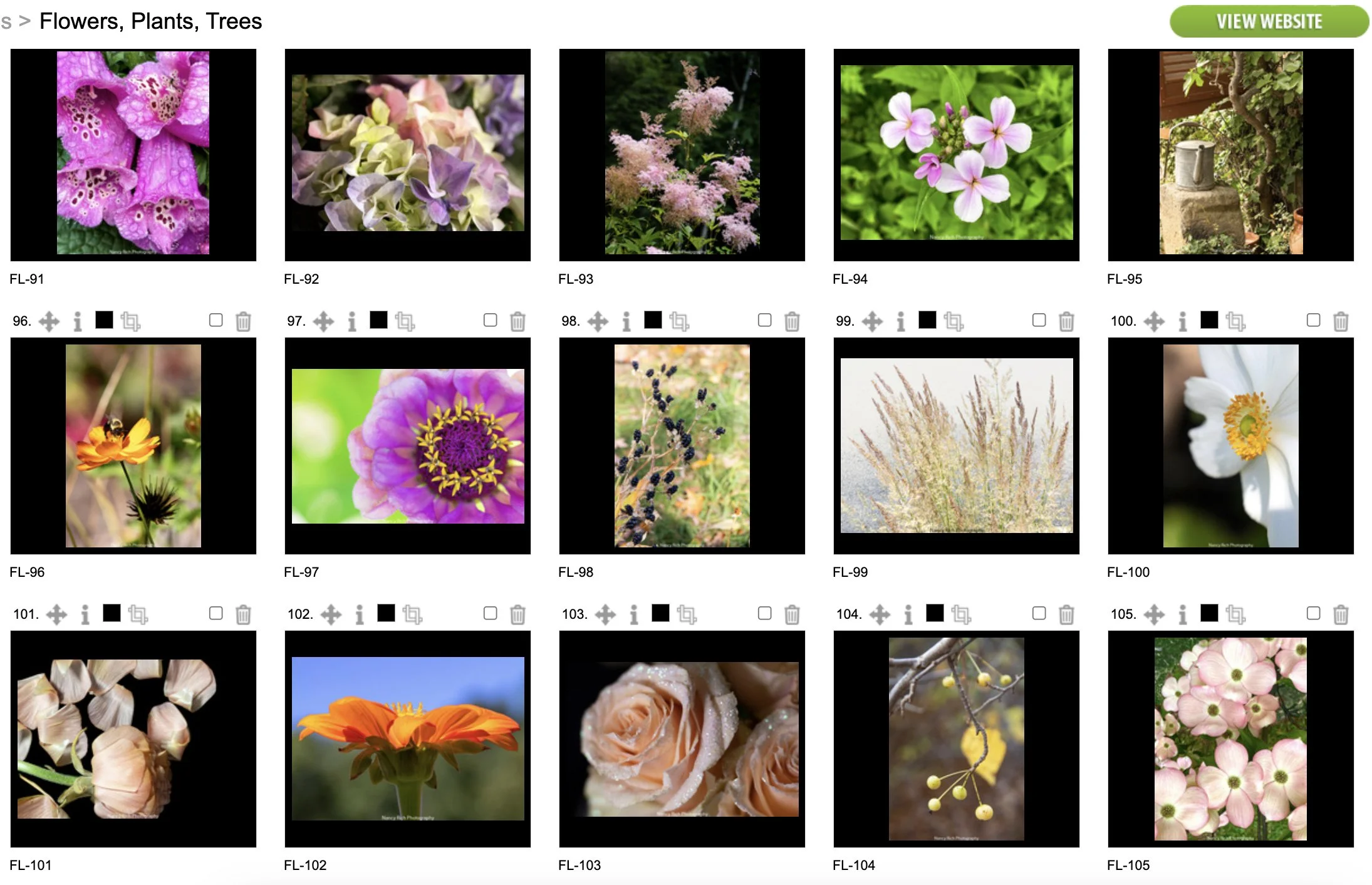 Flowers7-Screenshot 2025-10-21 at 7.01.17 AM copy.jpg