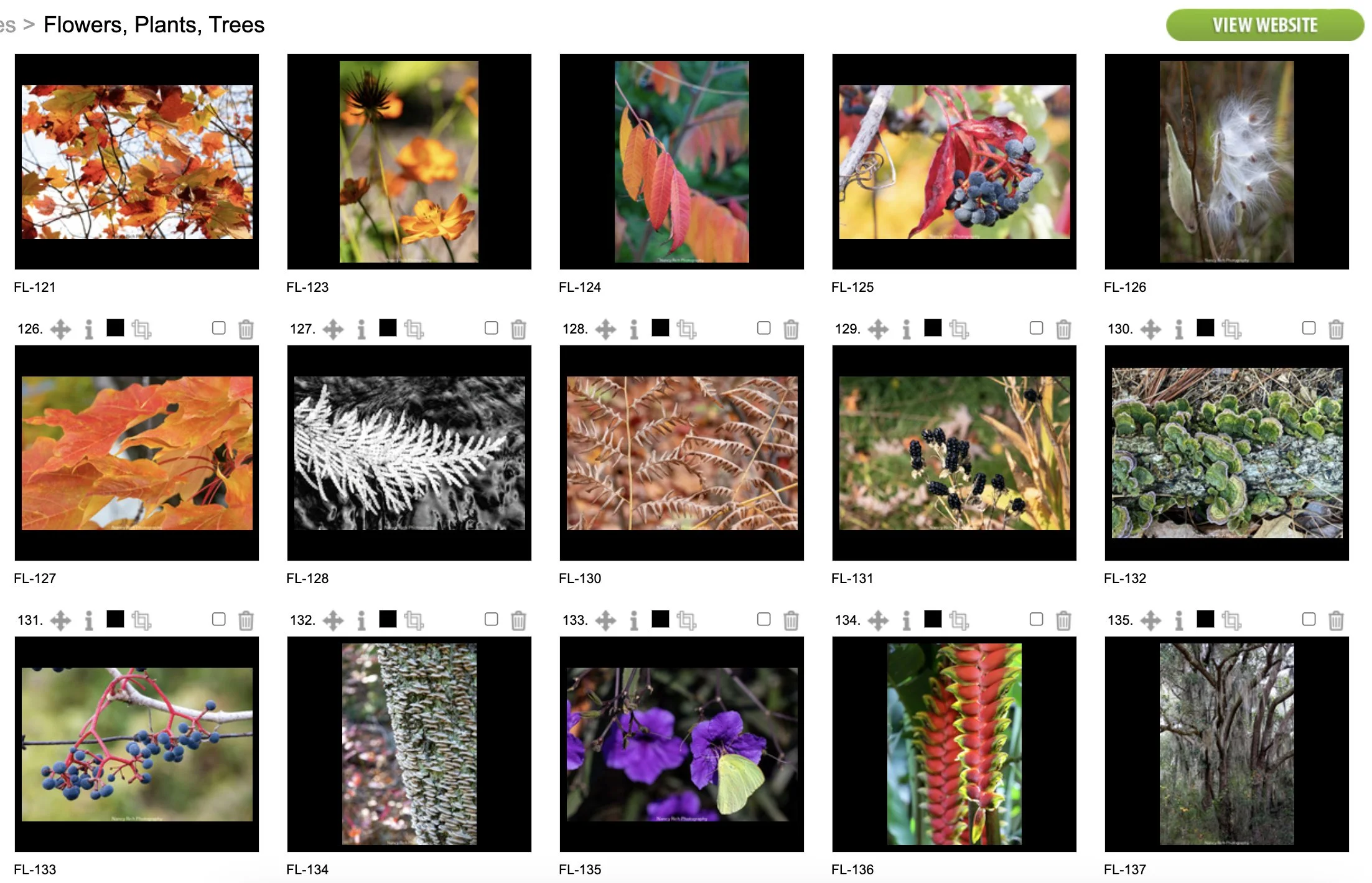 Flowers9-Screenshot 2025-10-21 at 7.01.35 AM copy.jpg