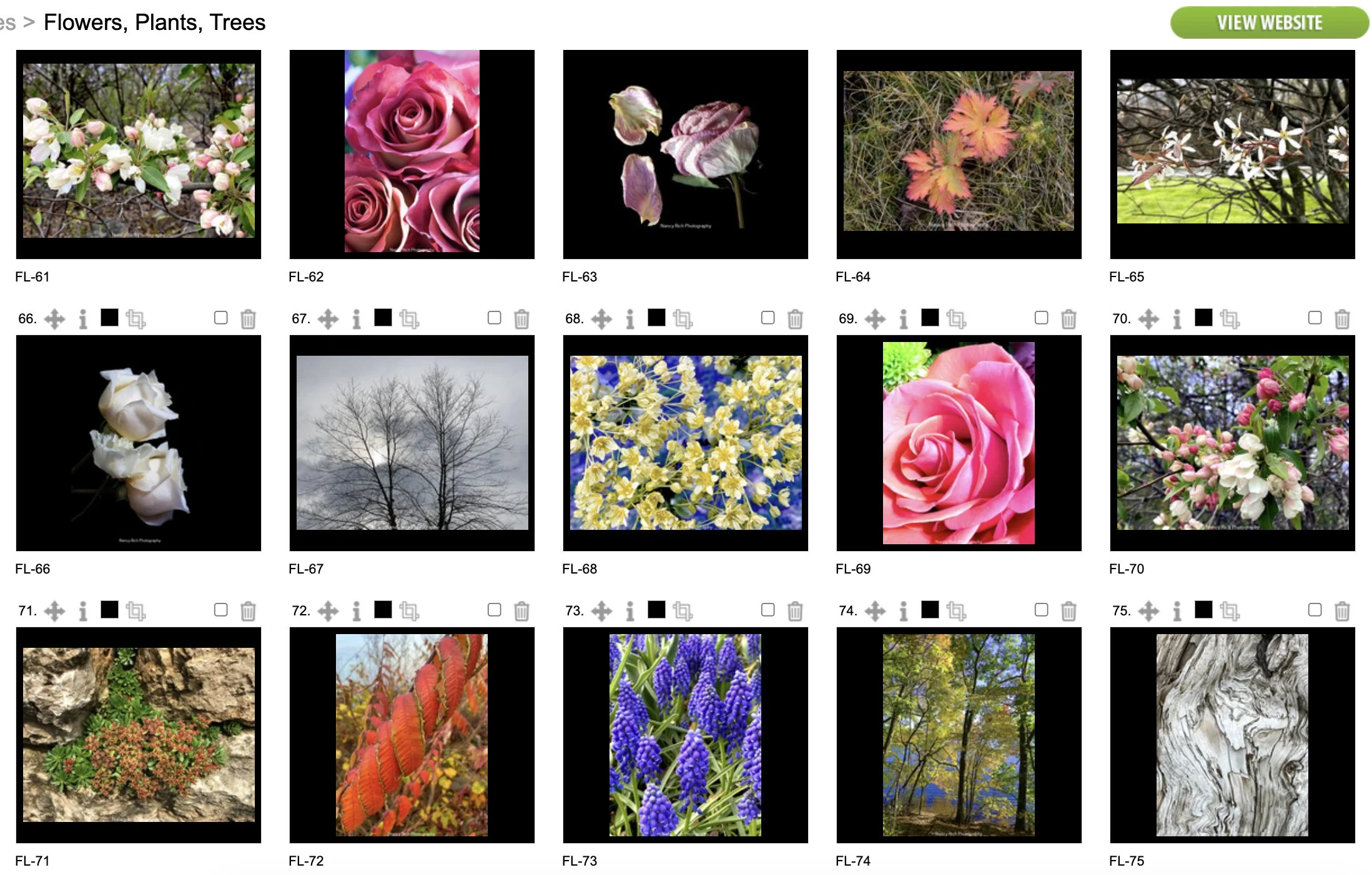 Flowers5-Screenshot 2025-10-21 at 7.01.00 AM copy.jpg