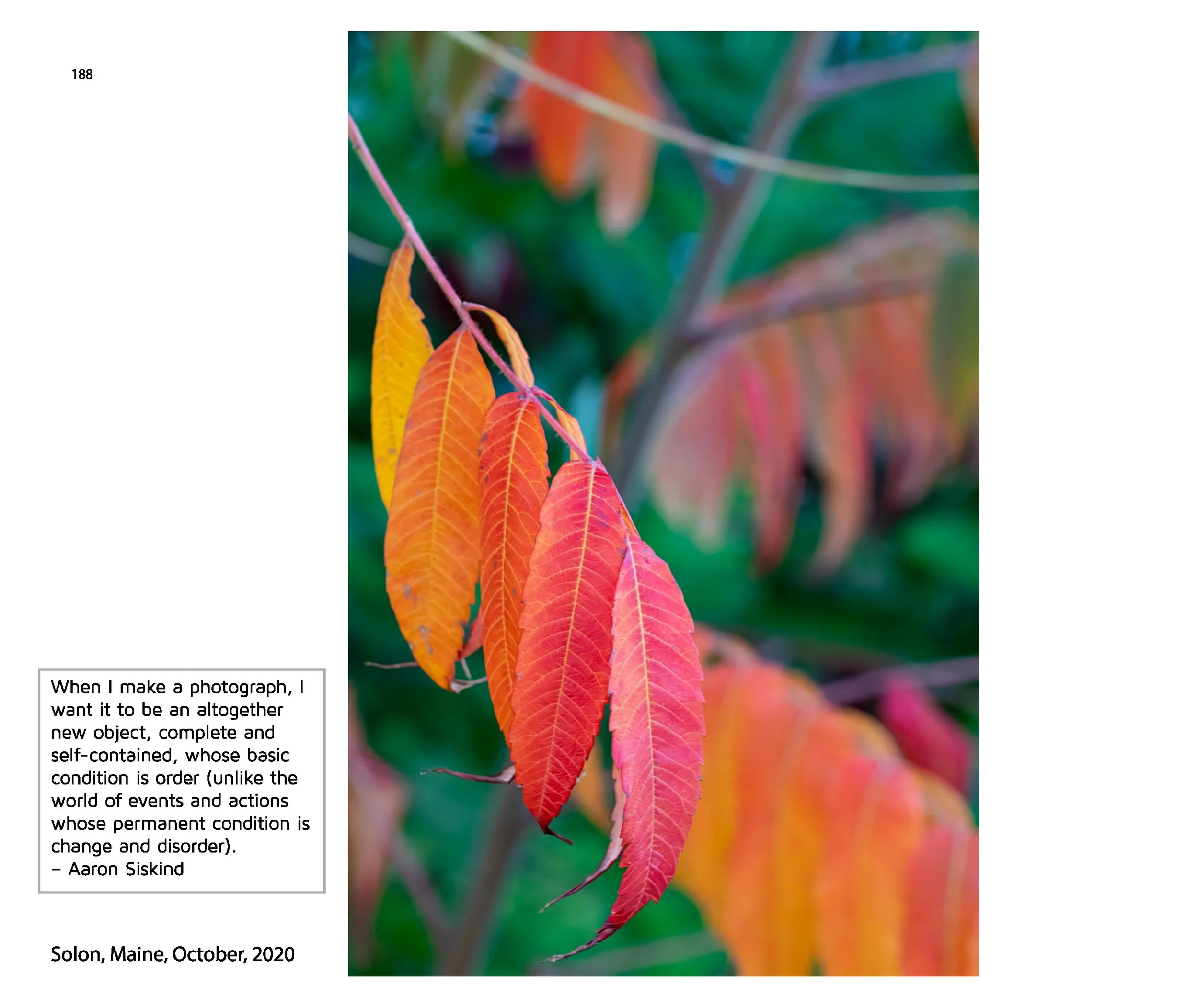 New JPGs__Page_190.jpg
