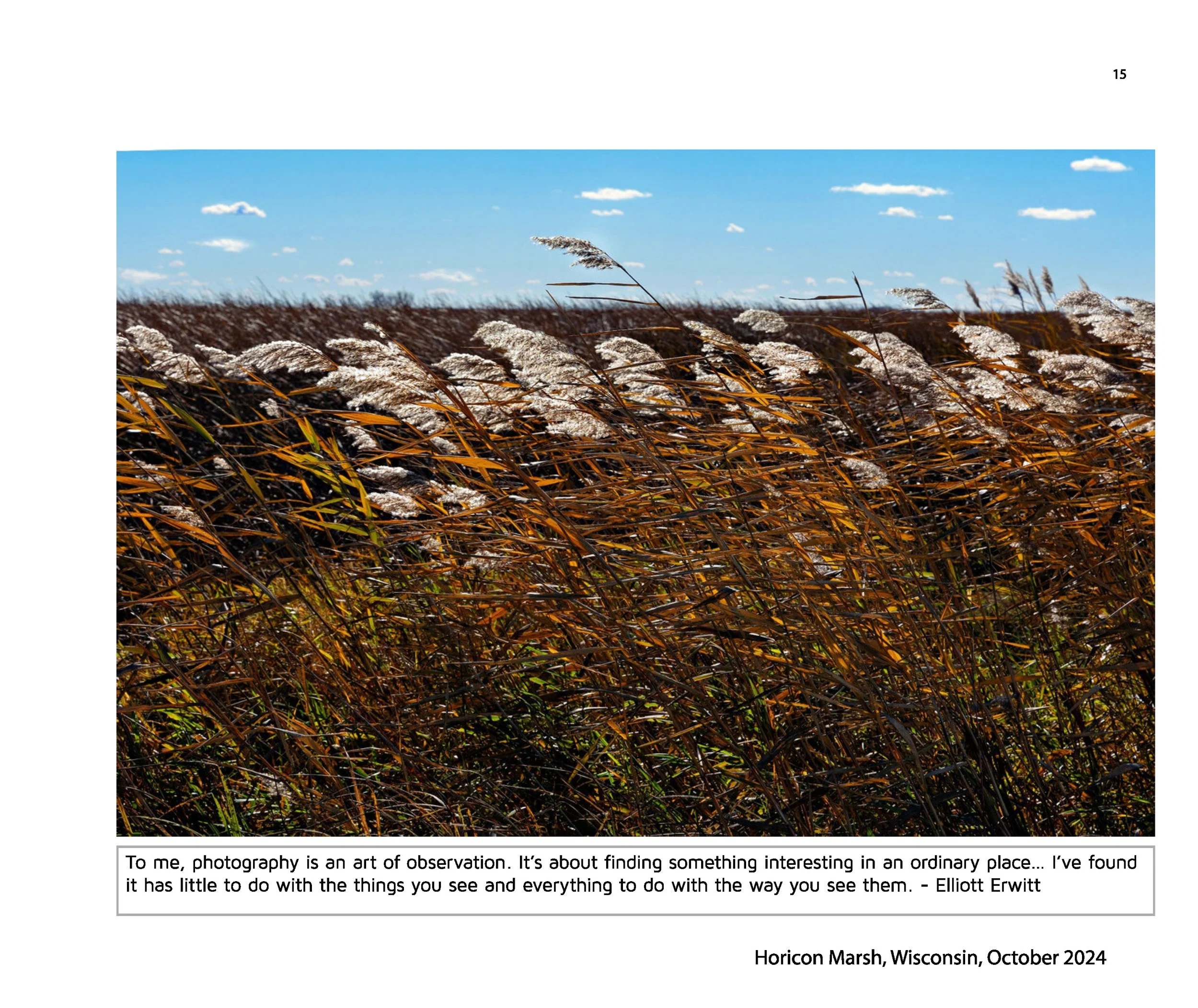 New JPGs__Page_017.jpg