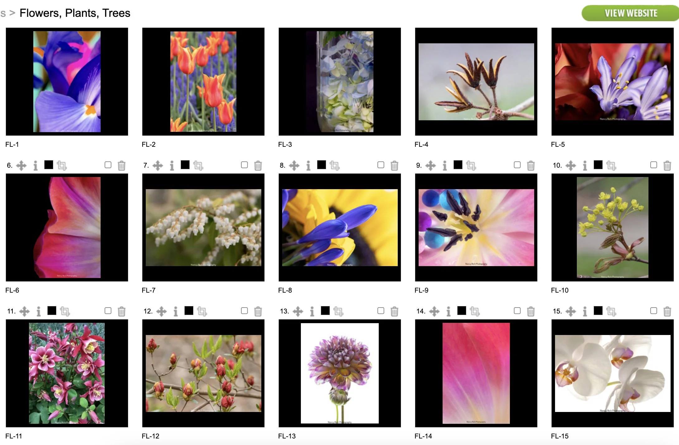 Flowers1-Screenshot 2025-10-21 at 7.00.24 AM 2 copy.jpg